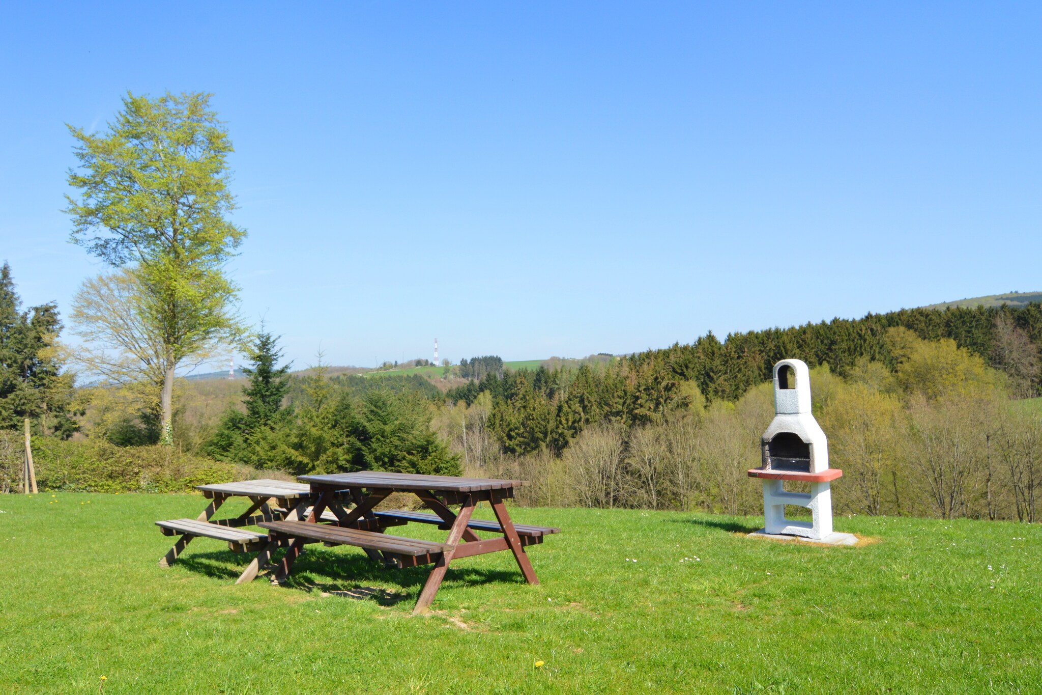 Vakantiehuis La Roche-En-Ardenne max. 8 personen 1 huisdier 3 slaapkamers #33
