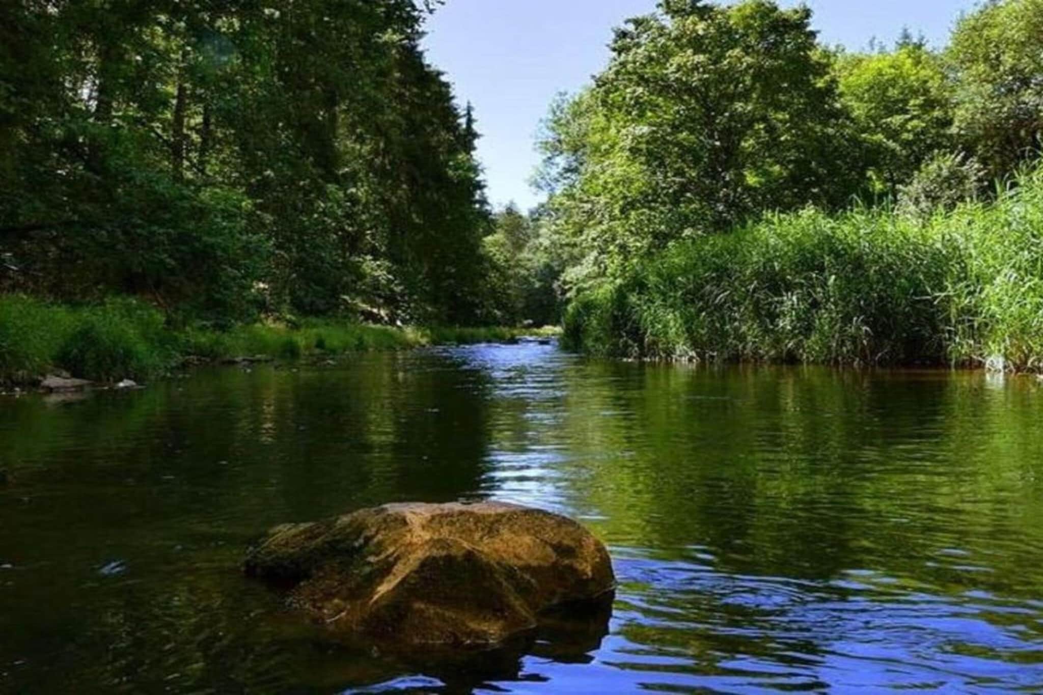 Villa Rotschönberg-Gebieden zomer 20km
