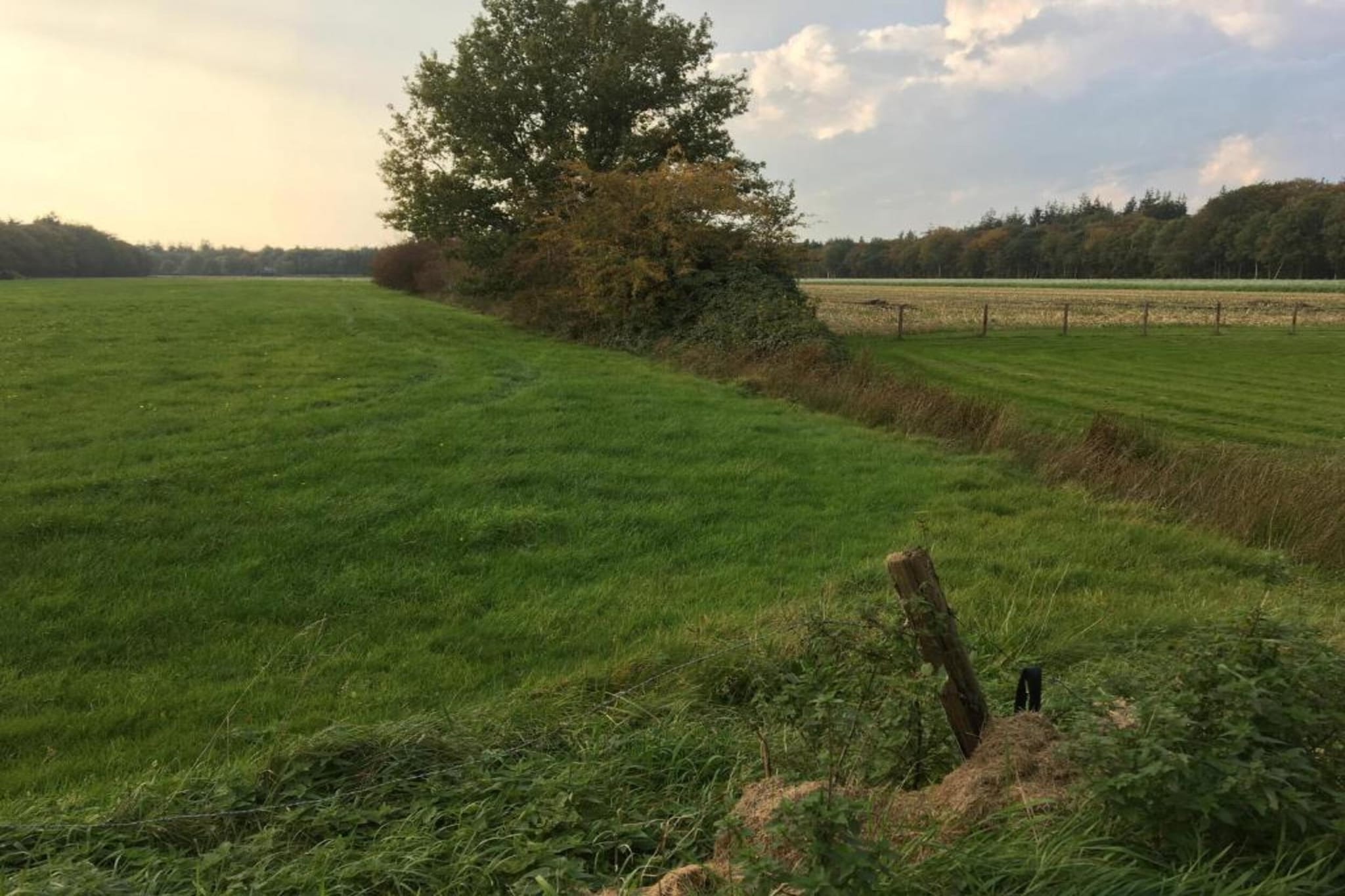 Landgoed Eysinga State 4-Gebieden zomer 20km