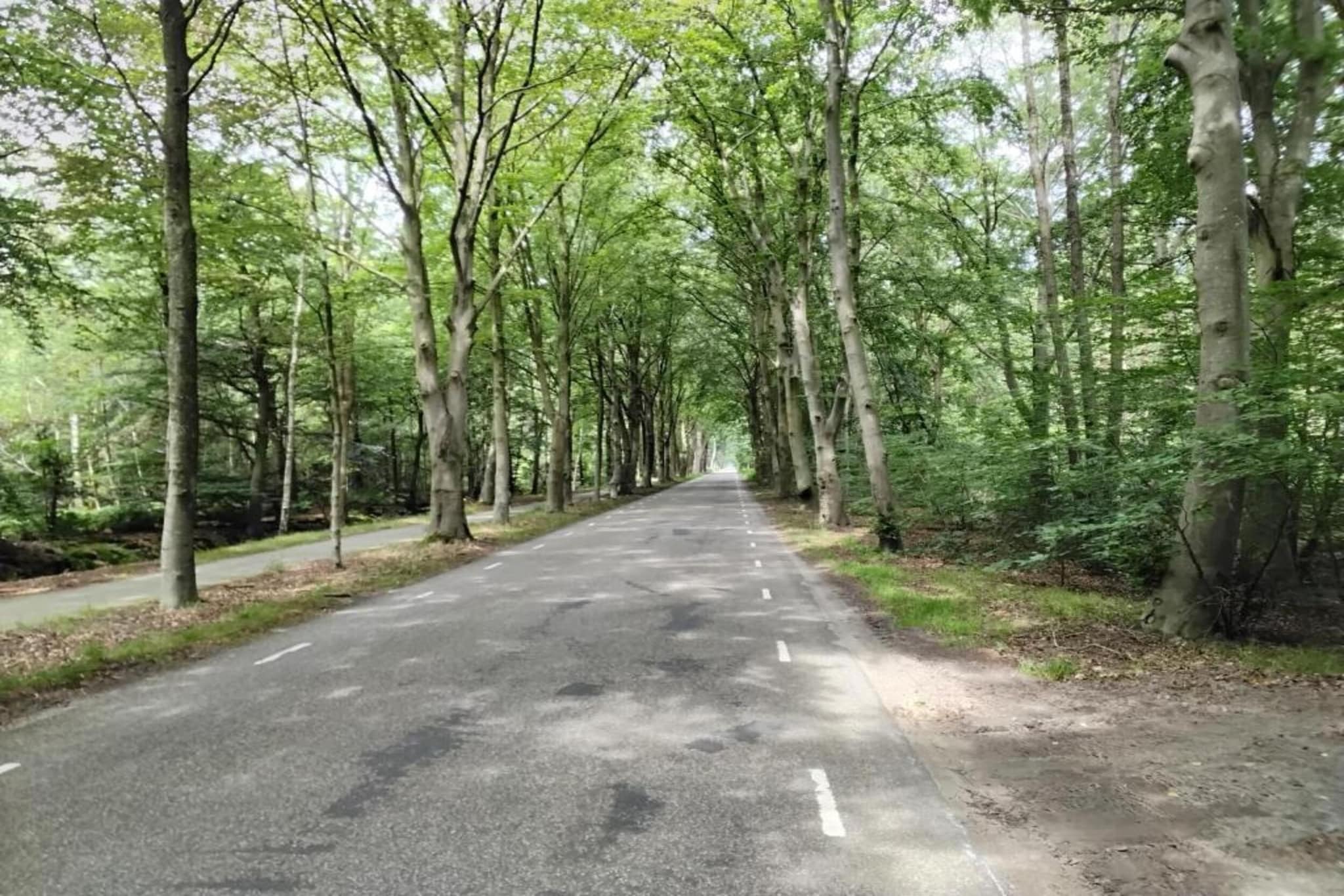 Landgoed Eysinga State 4-Gebieden zomer 20km