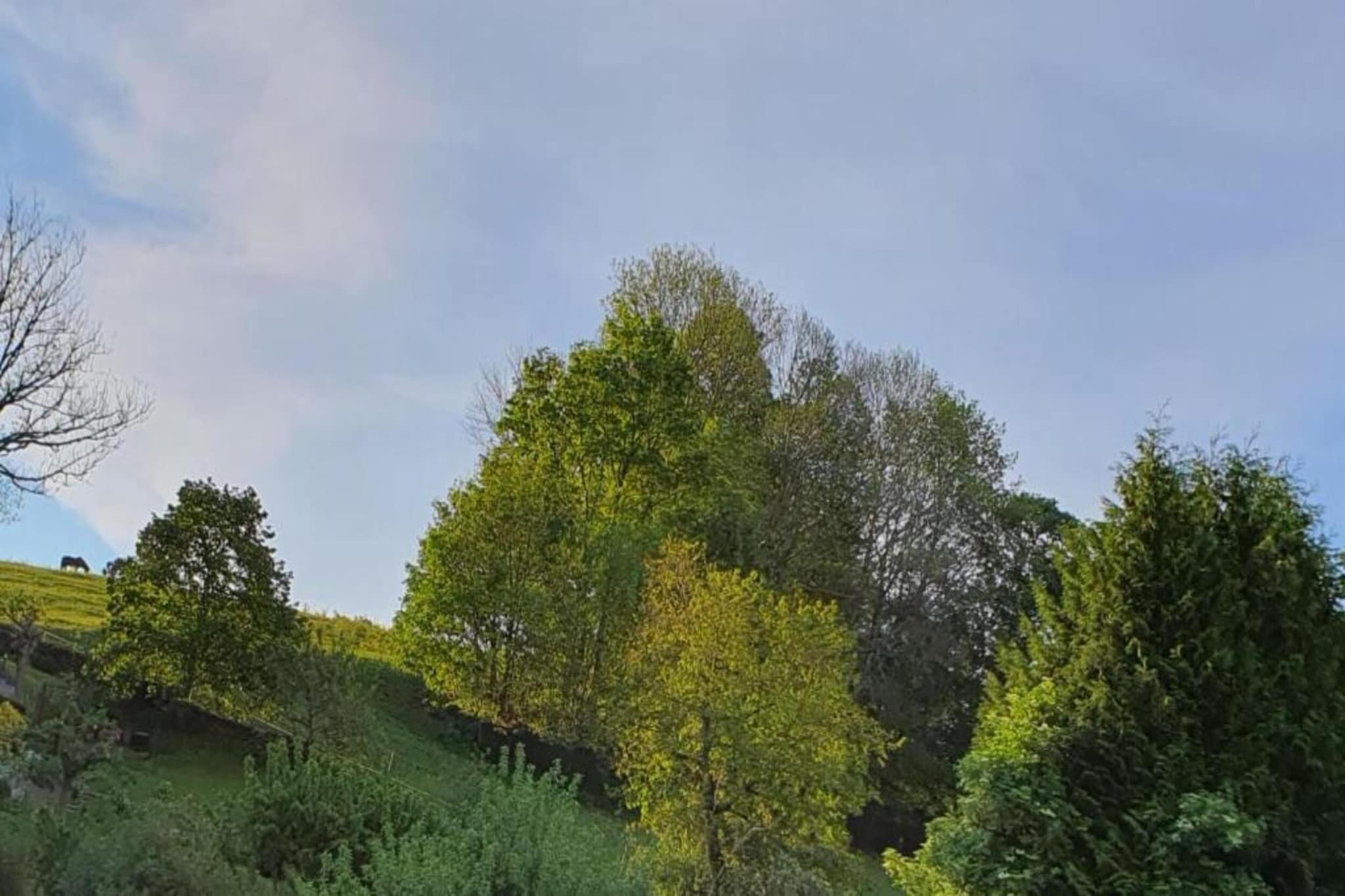 Villa im Erzgebirge-Gebieden zomer 20km
