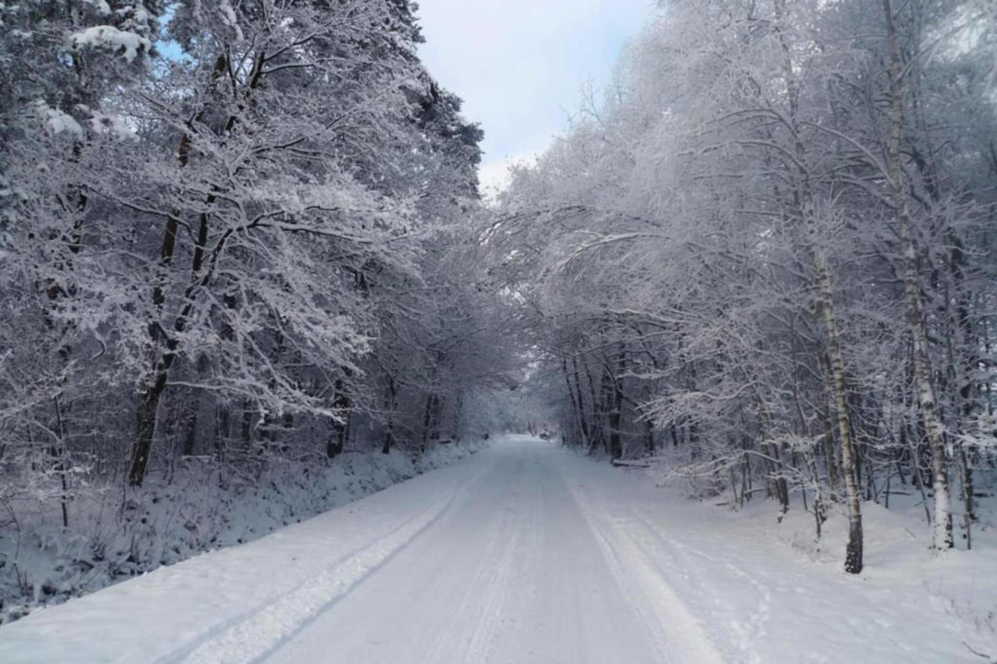 De Eik-Gebied winter 20km