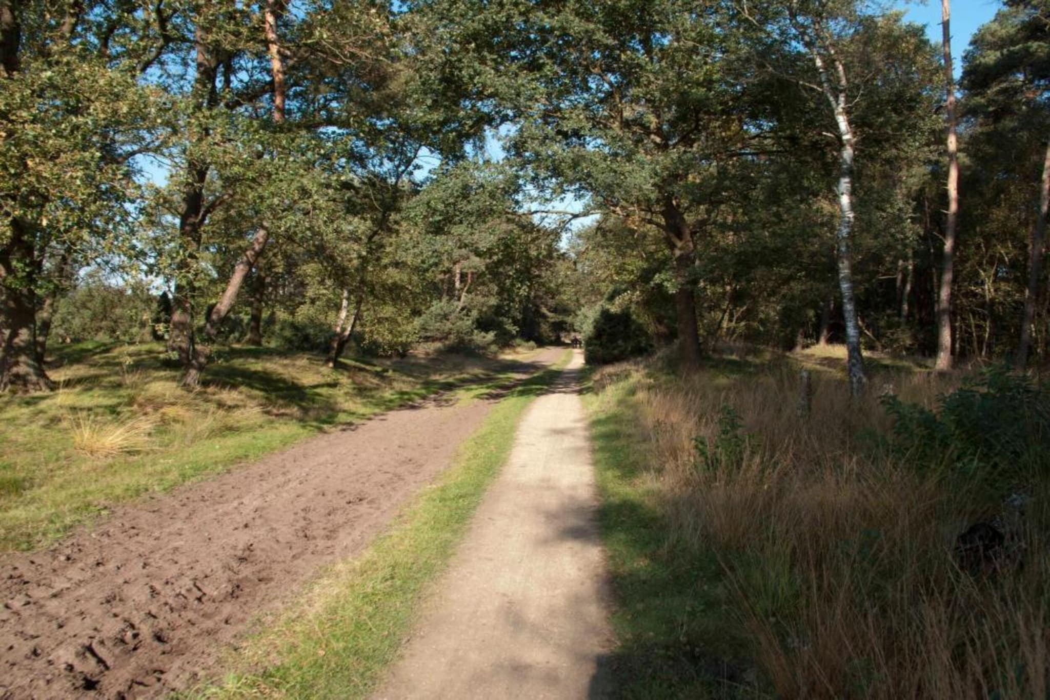 De Eik-Gebieden zomer 20km