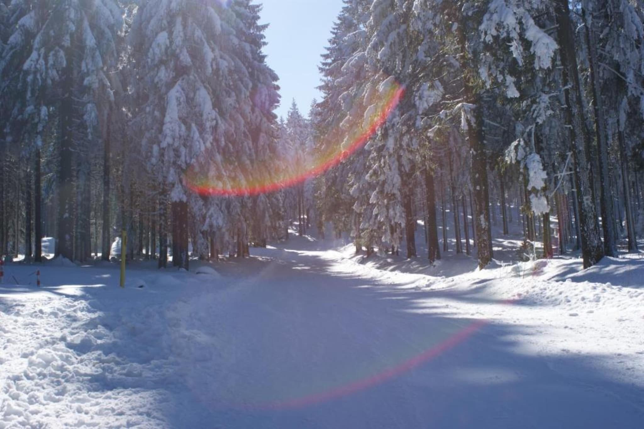 Goldisthal-Gebied winter 20km