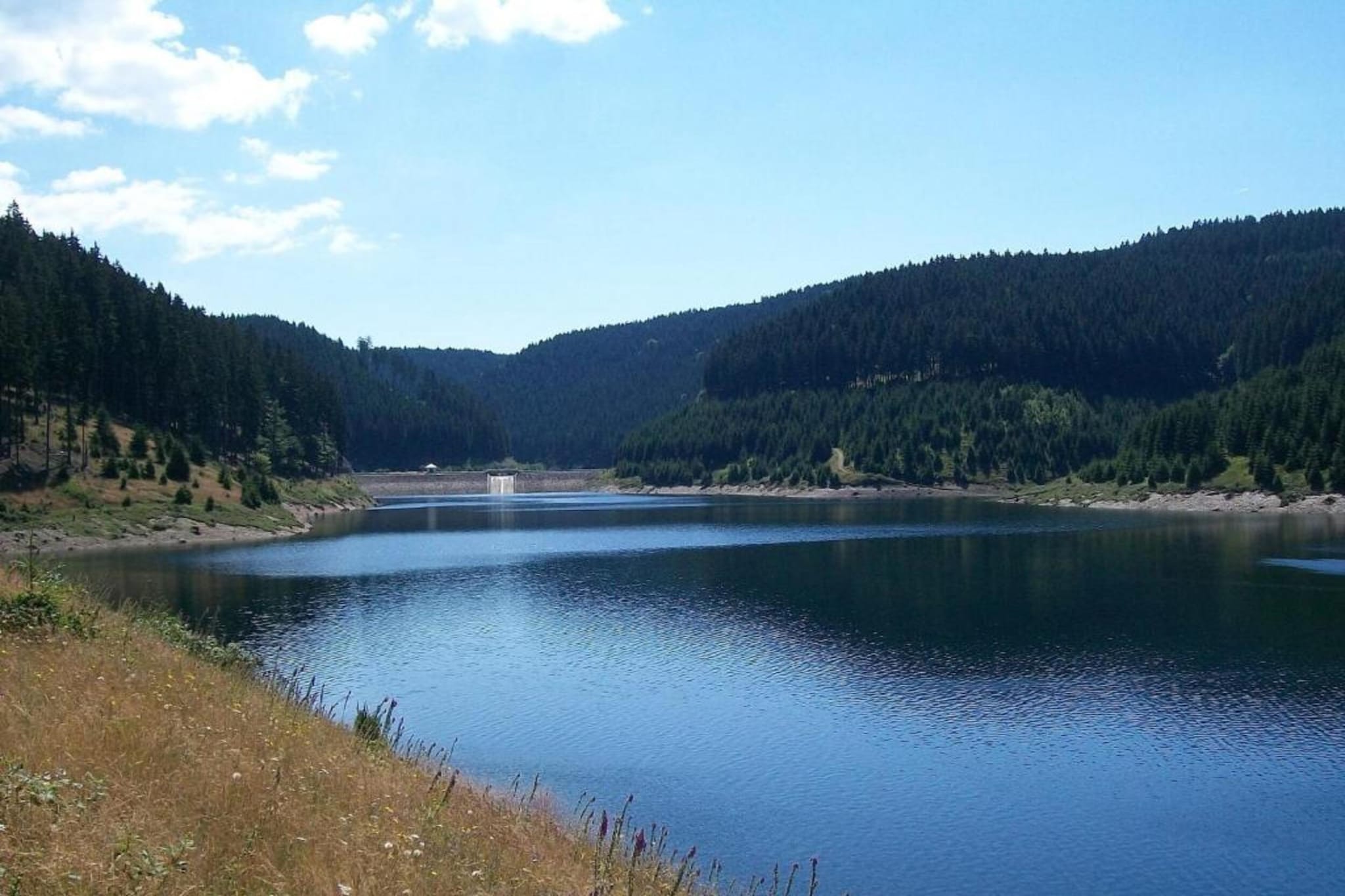 Goldisthal-Gebieden zomer 20km