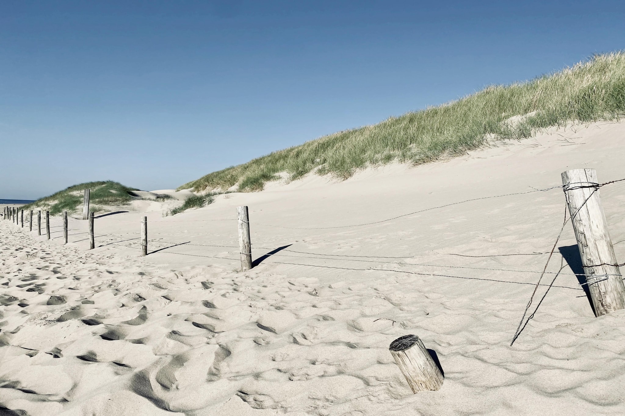 De Biotoop-Areas within 5km in summer