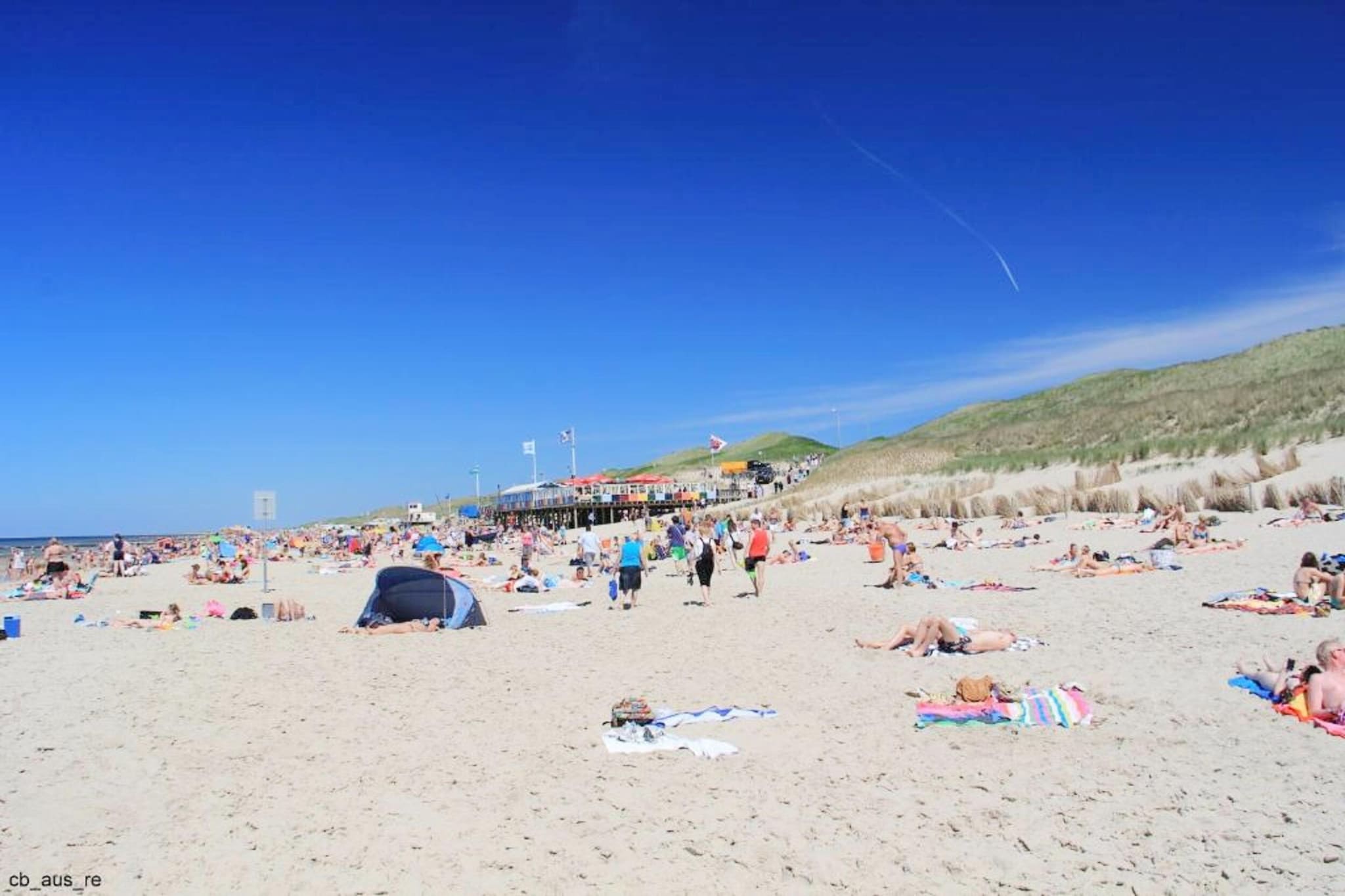 De Biotoop-Areas within 5km in summer