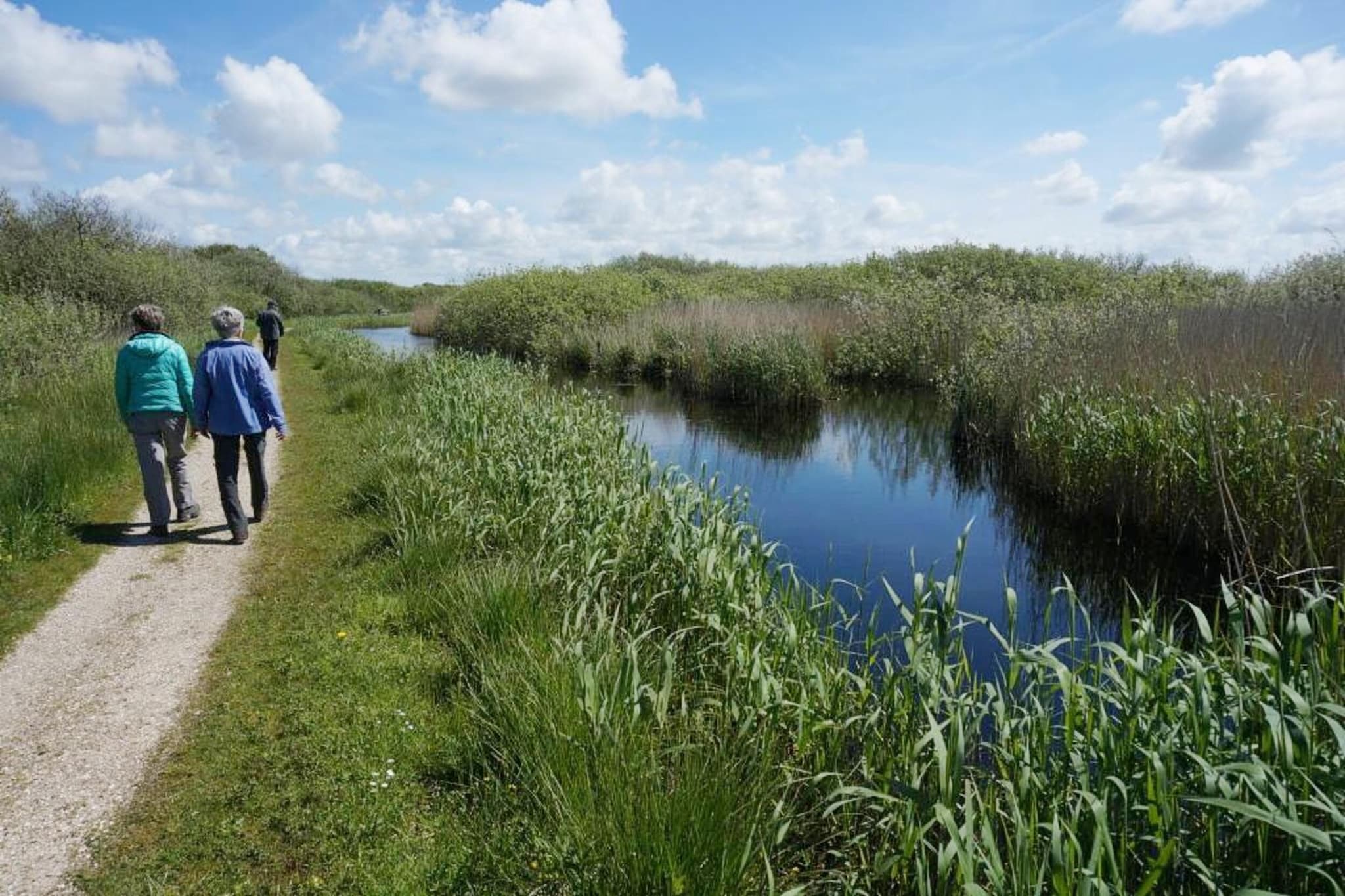 De Biotoop-Areas within 5km in summer