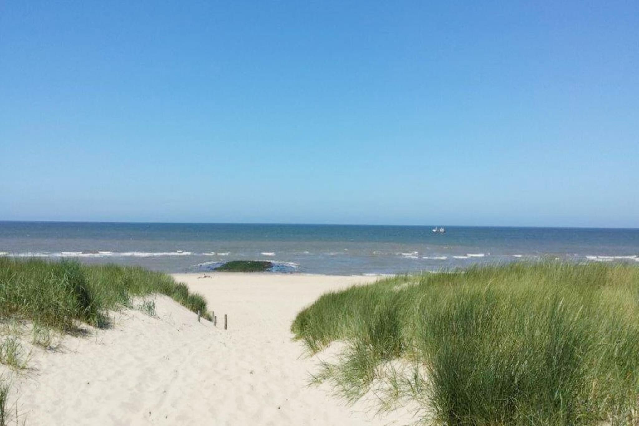 De Biotoop-Areas within 5km in summer