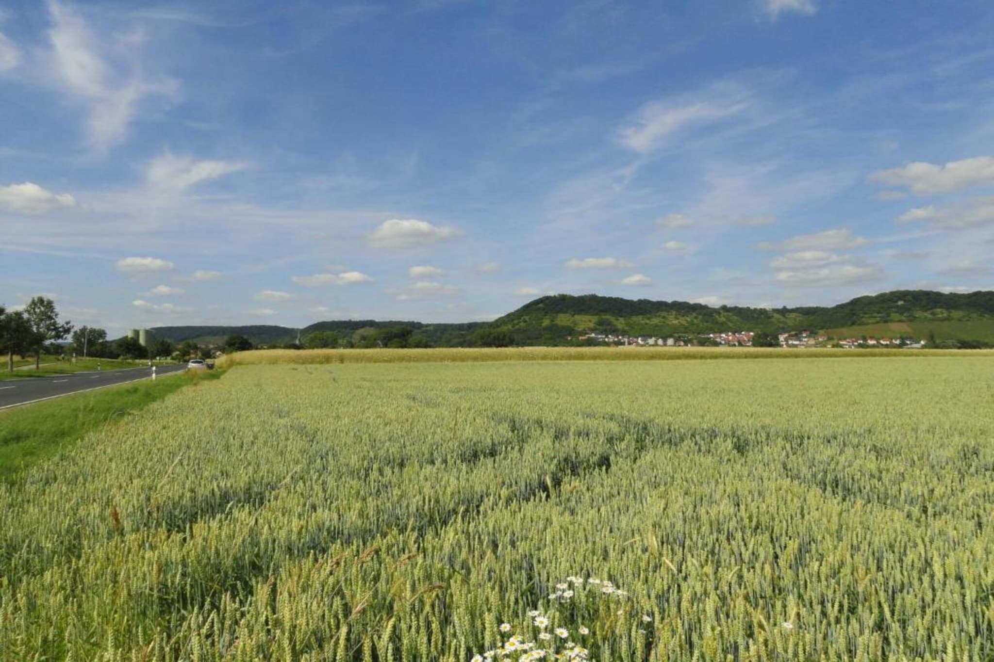 Wilder Wein-Gebieden zomer 20km
