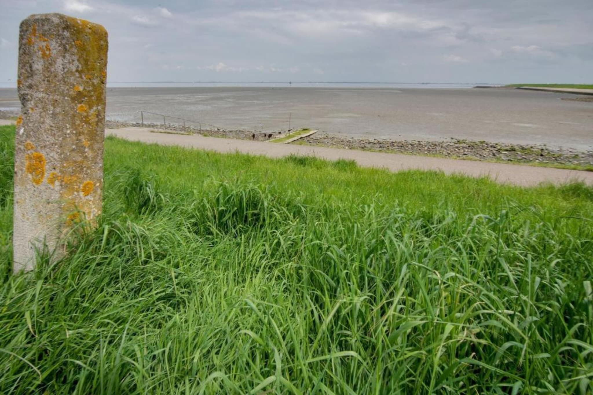 Sunny Oosterschelde-Gebieden zomer 5km