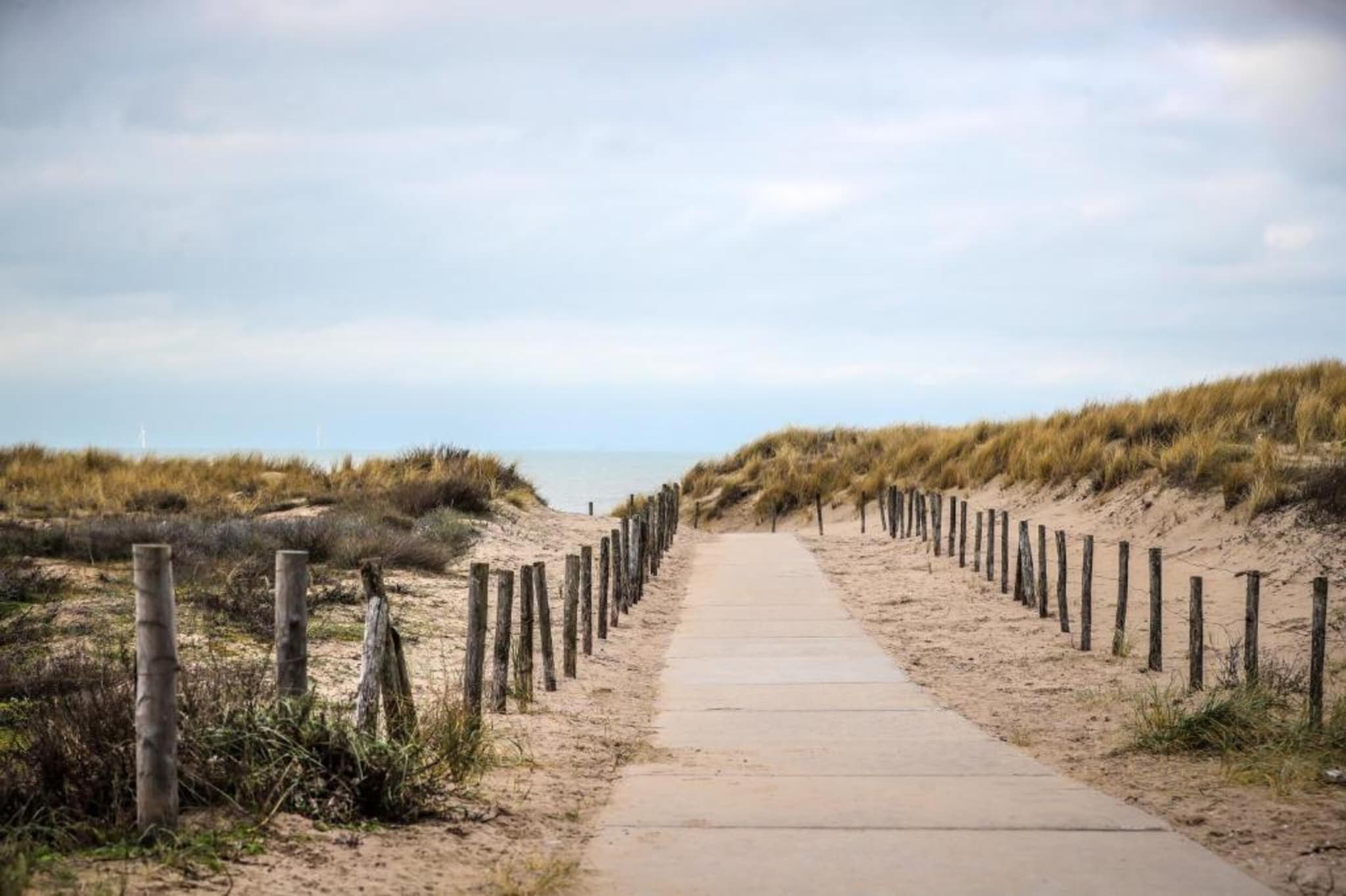 Bungalowpark 't Lappennest 1-Gebieden zomer 5km