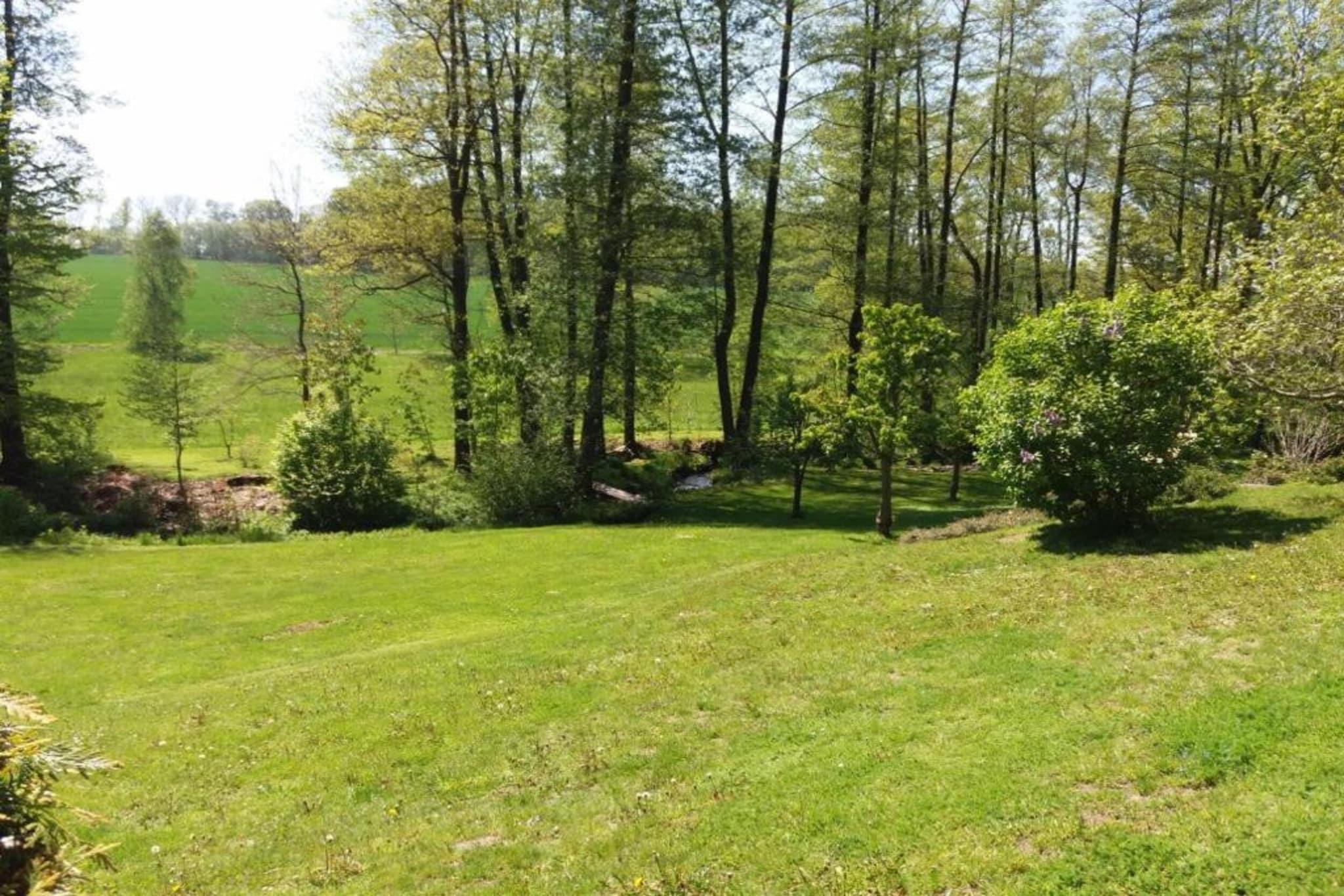 Ferienhaus Oederan-Gebieden zomer 20km