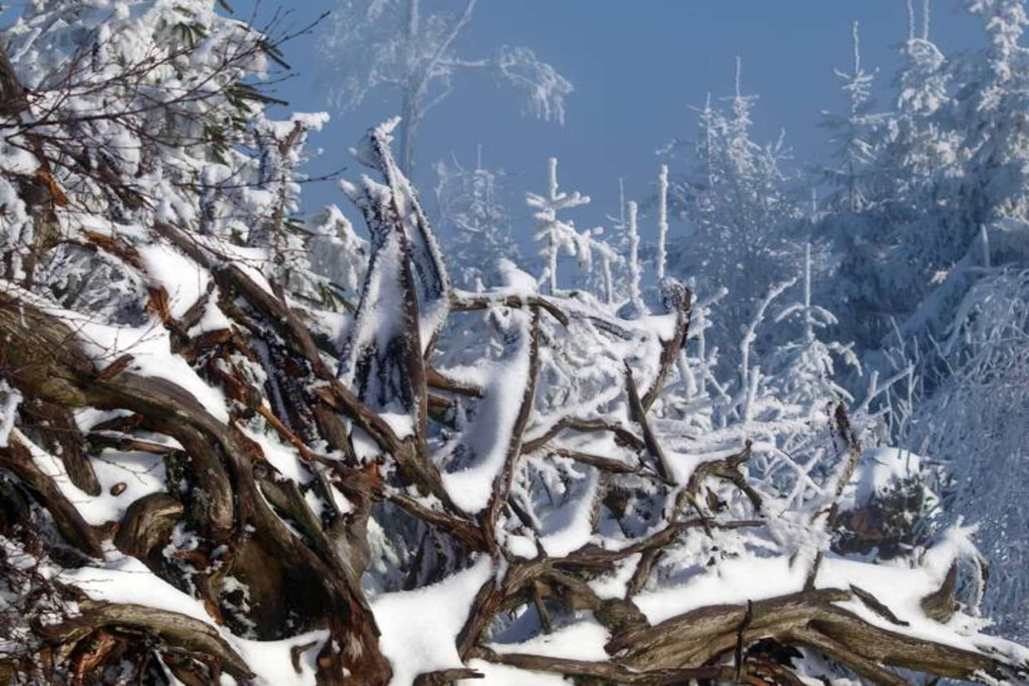 Haus Fischer-Zone d'hiver à 20 km