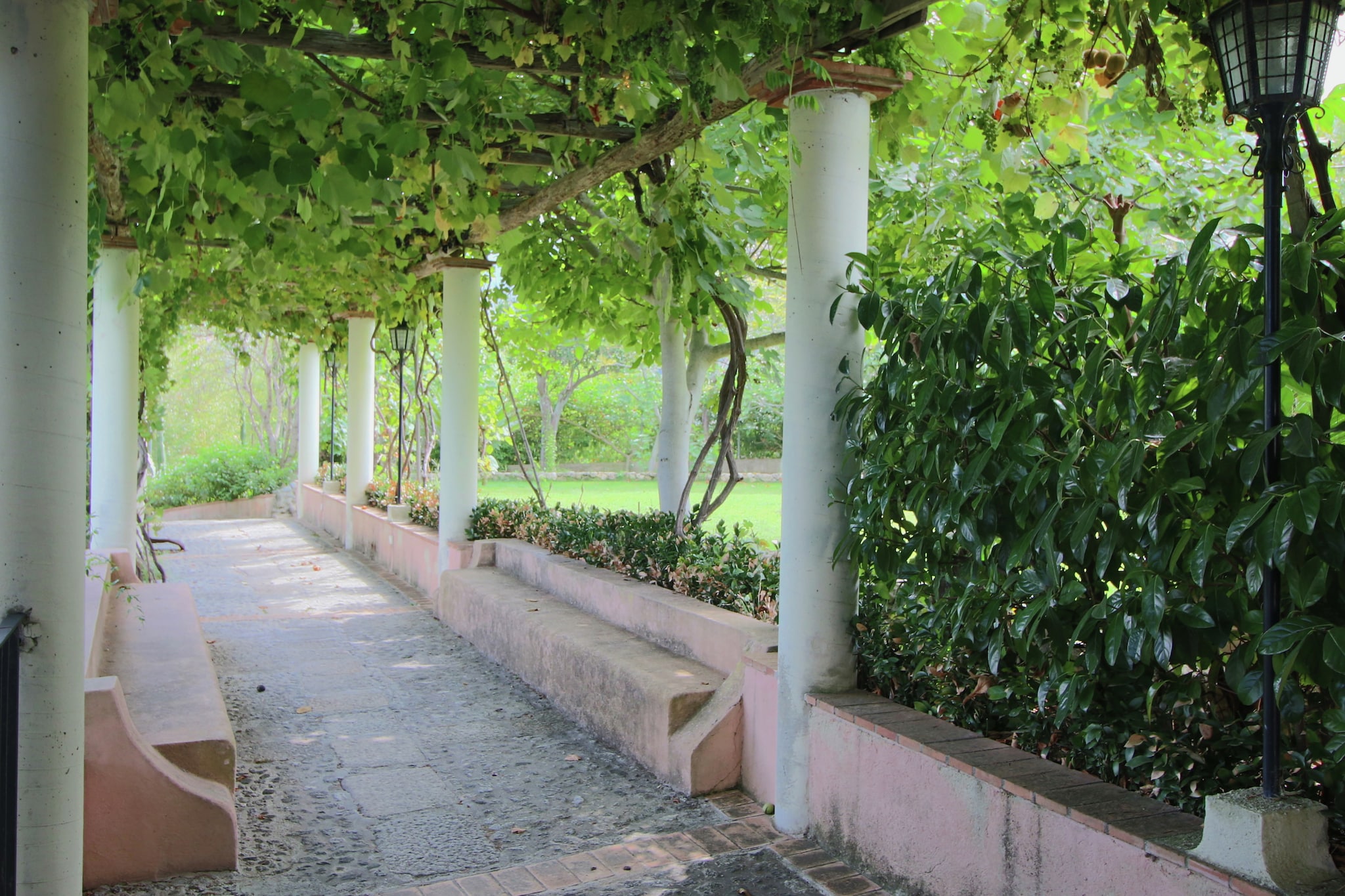 Garden Summer