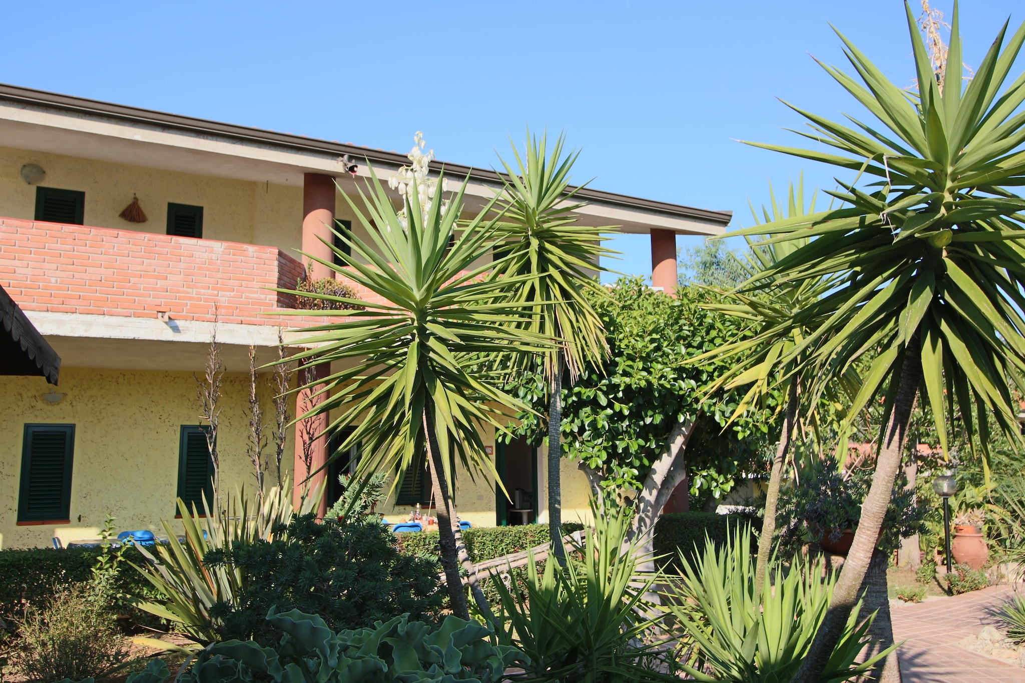 Nduja-Extérieur été