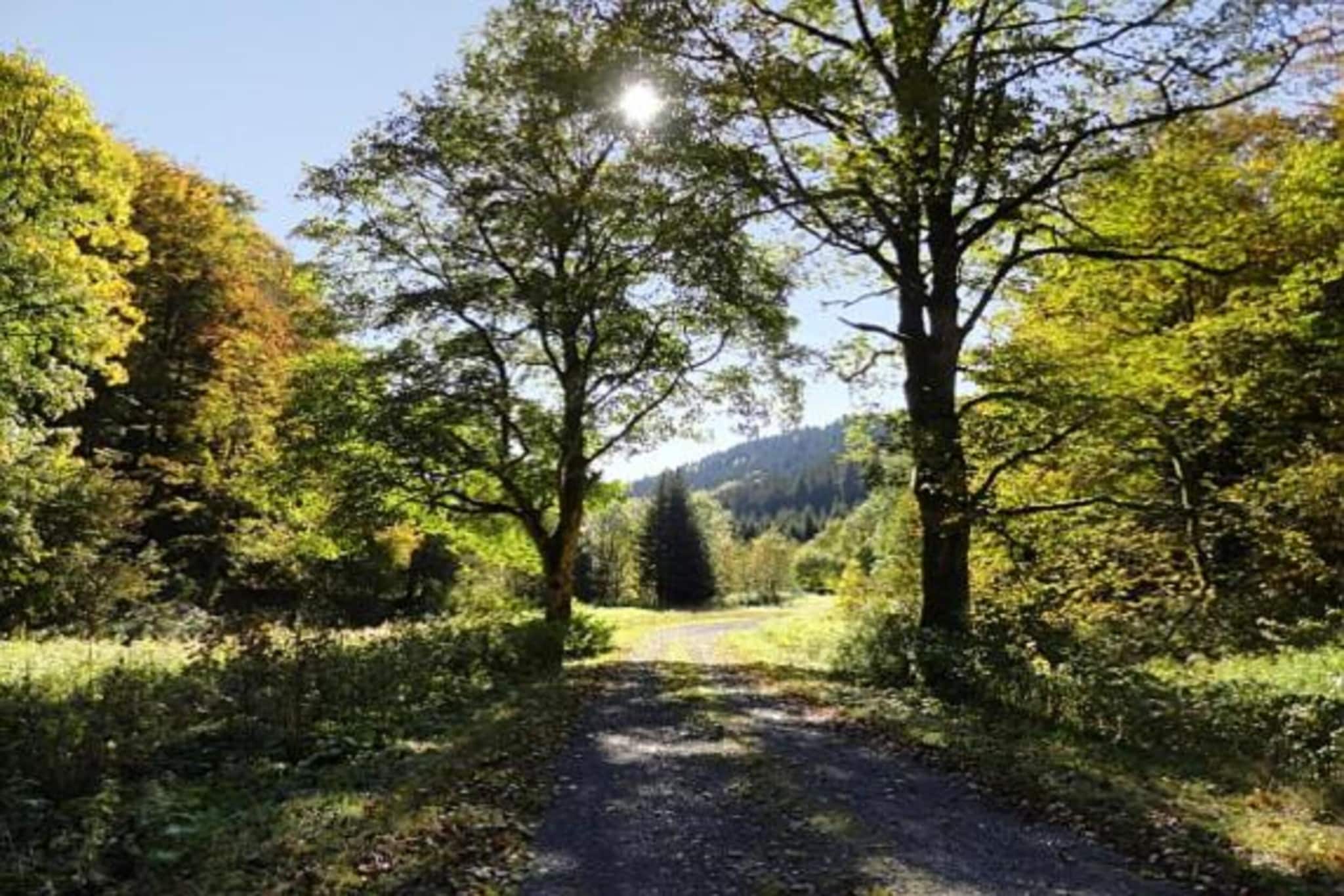 Thüringer Wald-Gebieden zomer 20km