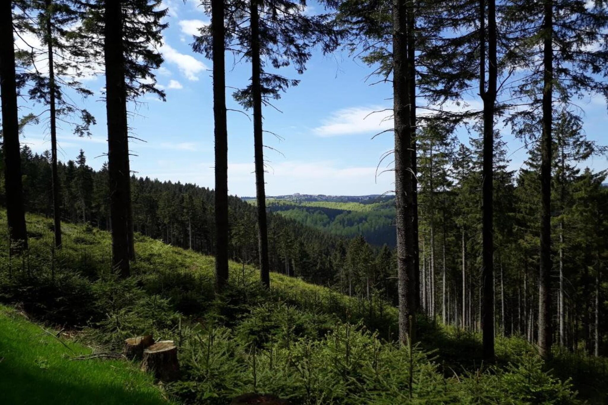 Thüringer Wald-Gebieden zomer 20km
