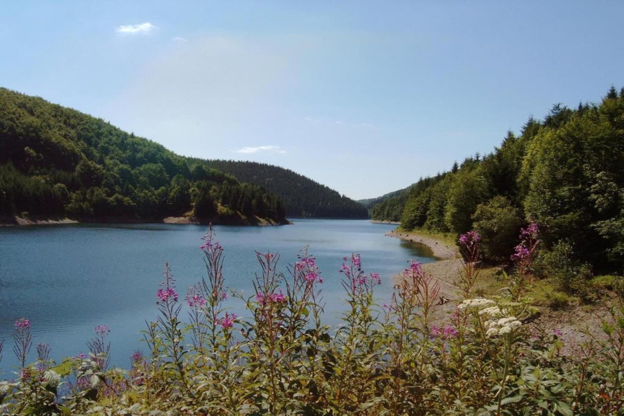 Thüringer Wald-Gebieden zomer 20km