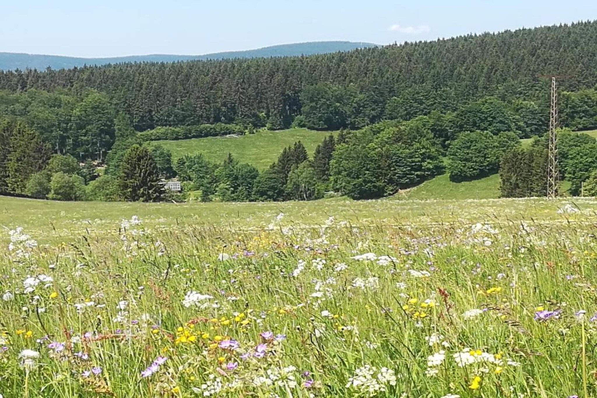 Thüringer Wald-Gebieden zomer 20km