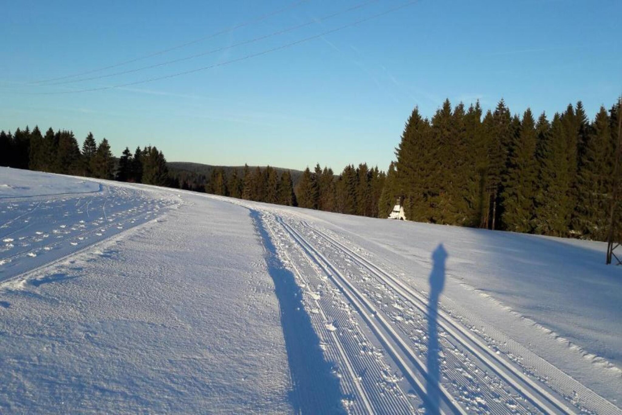 Thüringer Wald-Gebied winter 20km
