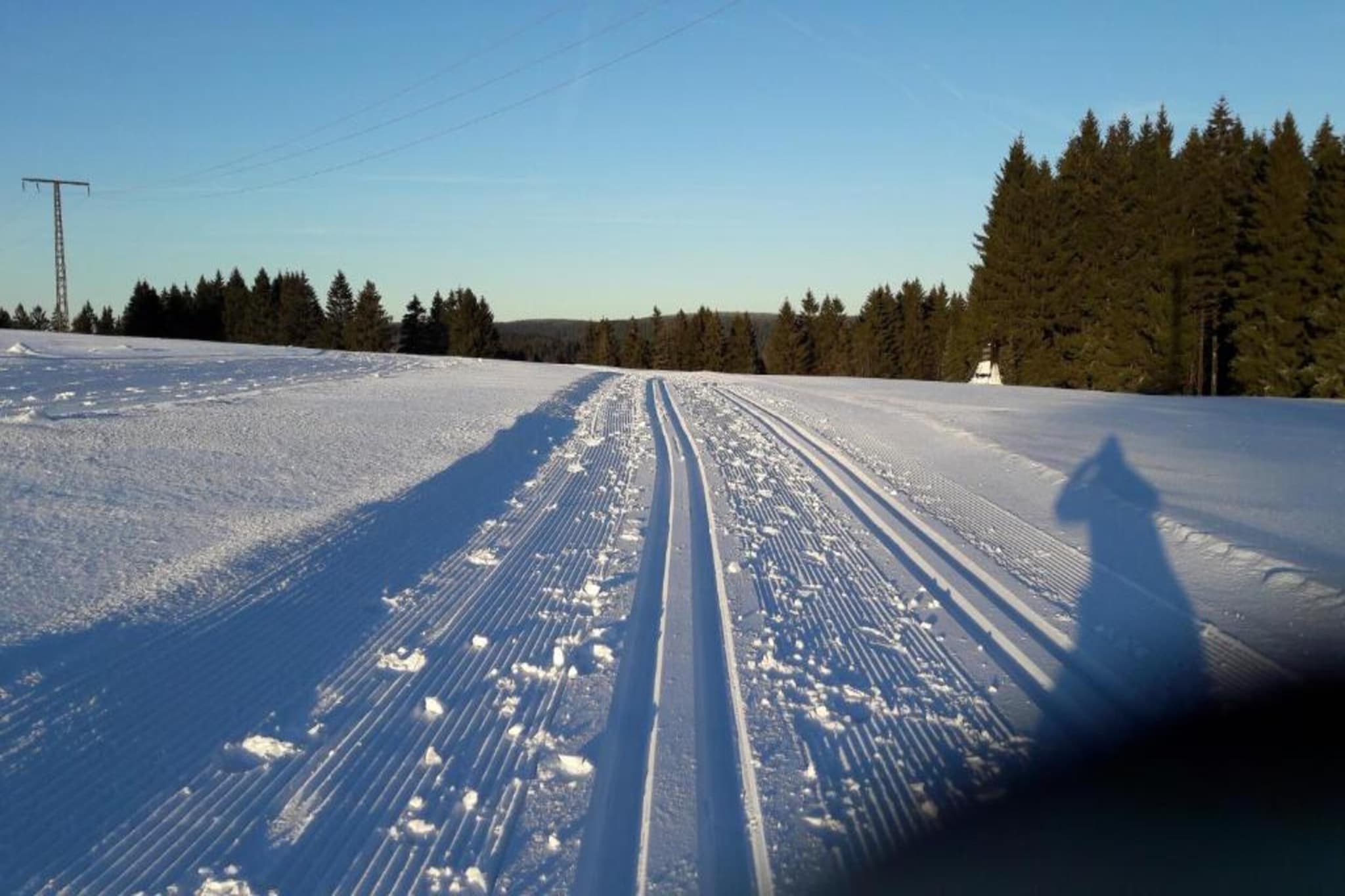 Thüringer Wald-Gebied winter 20km