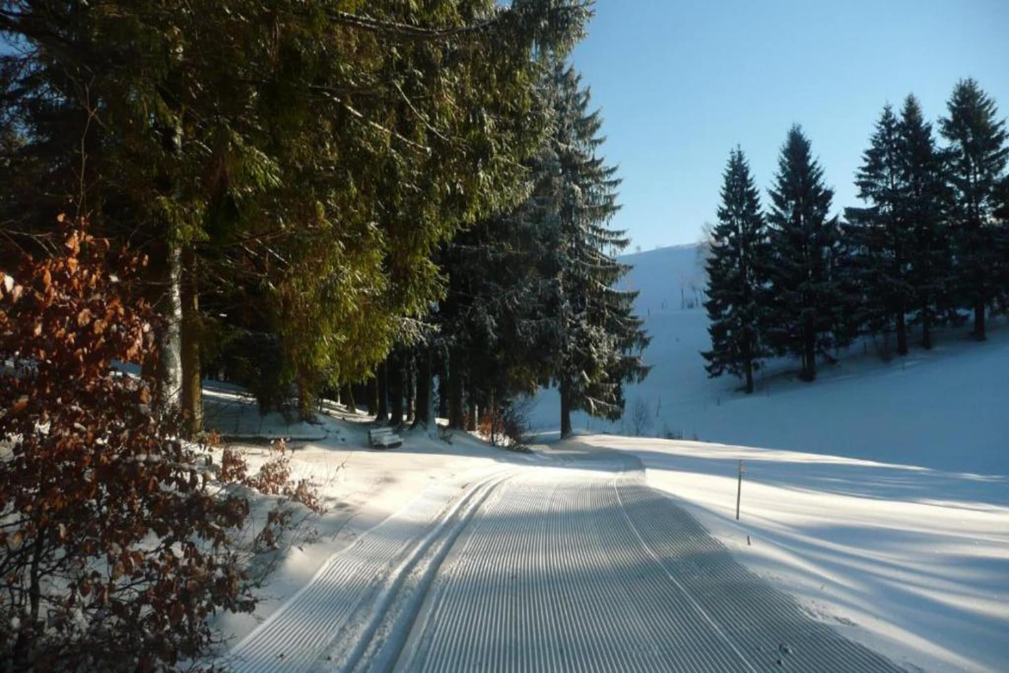 Thüringer Wald-Gebied winter 20km