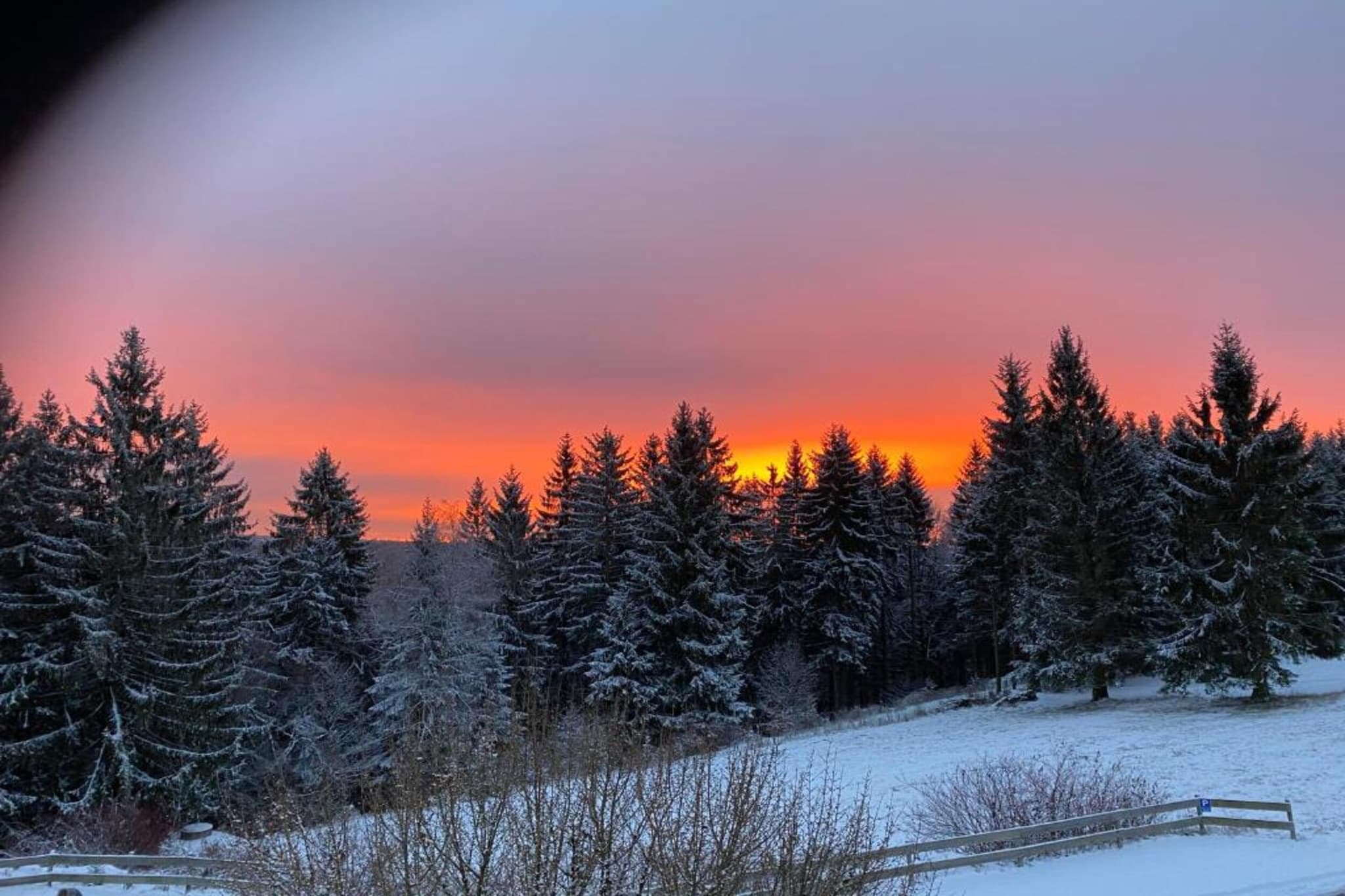 Thüringer Wald-Gebied winter 20km