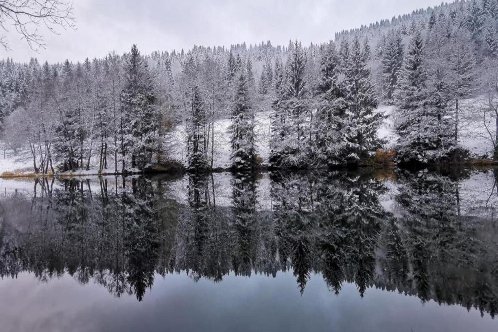 Thüringer Wald-Gebied winter 20km