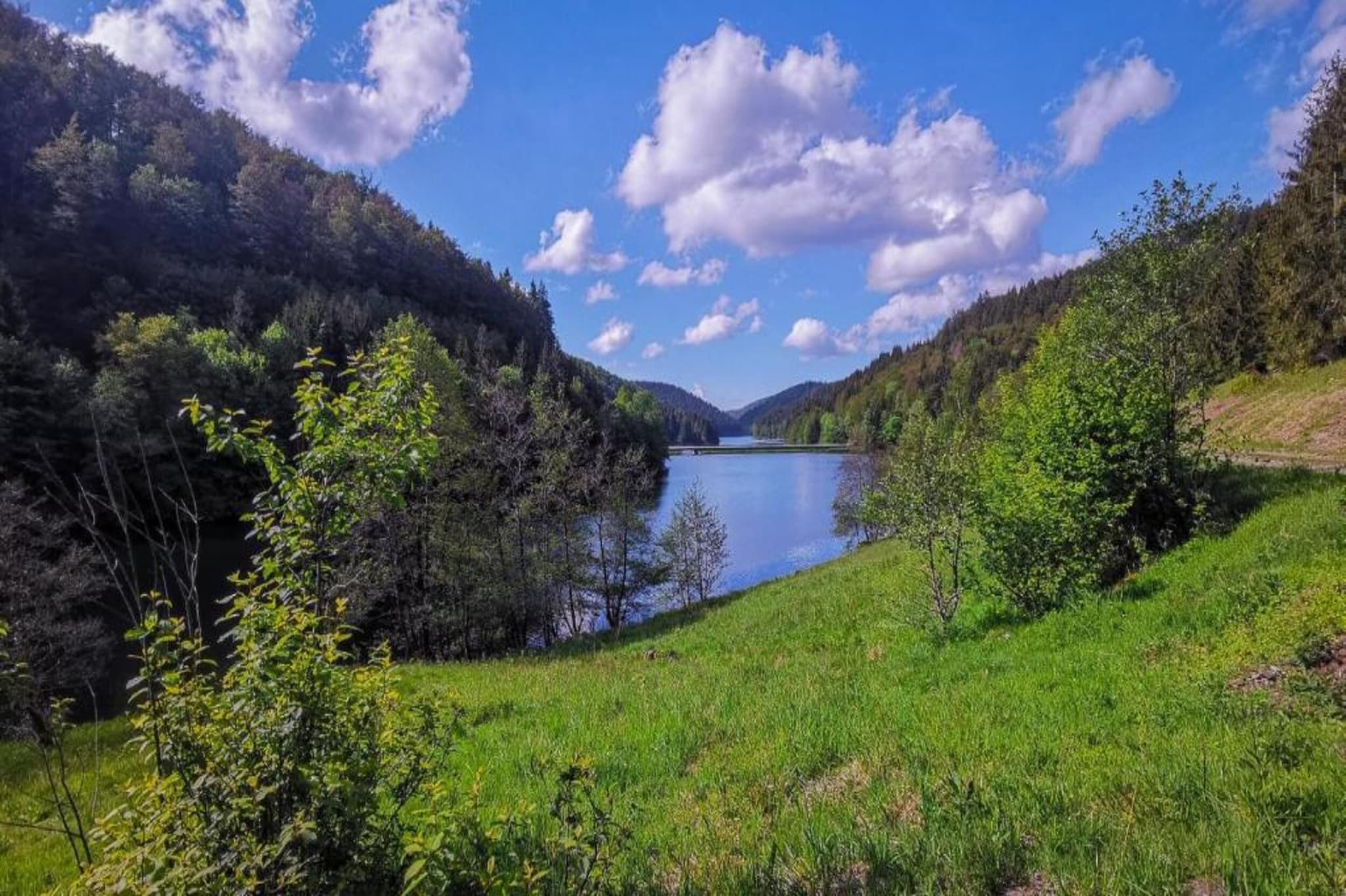 Thüringer Wald-Gebieden zomer 20km