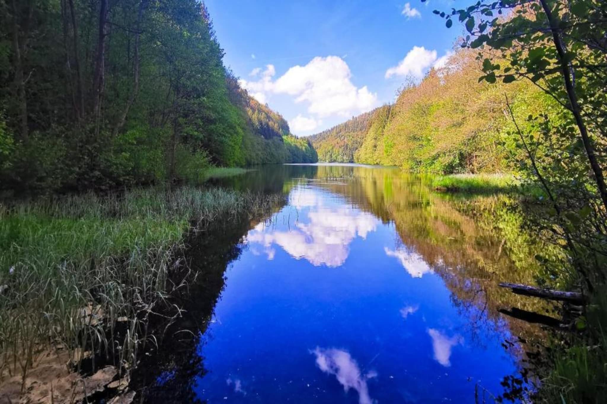 Thüringer Wald-Gebieden zomer 20km