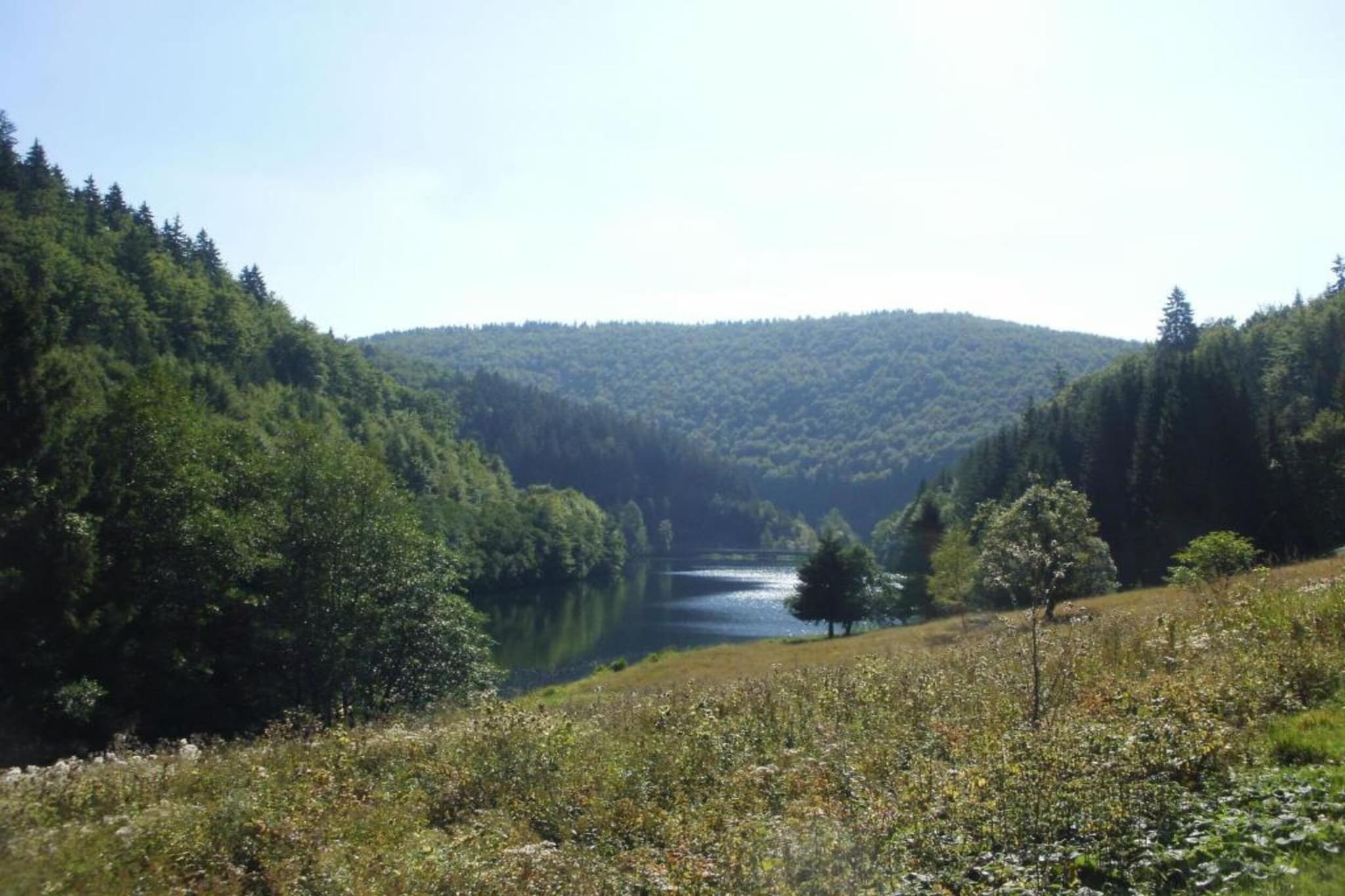 Thüringer Wald-Gebieden zomer 20km