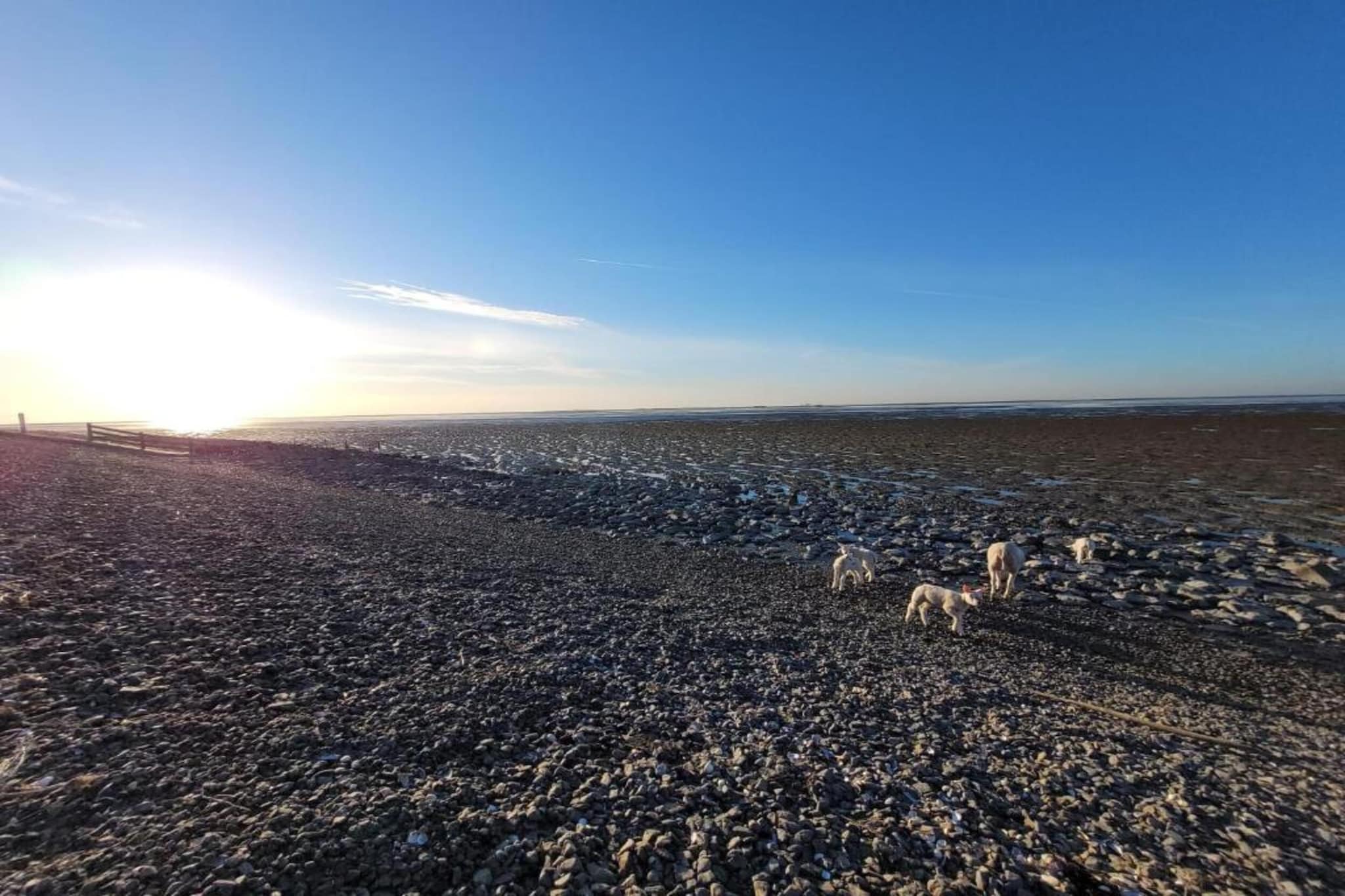 Landhuis Wad Anders-Gebieden zomer 20km
