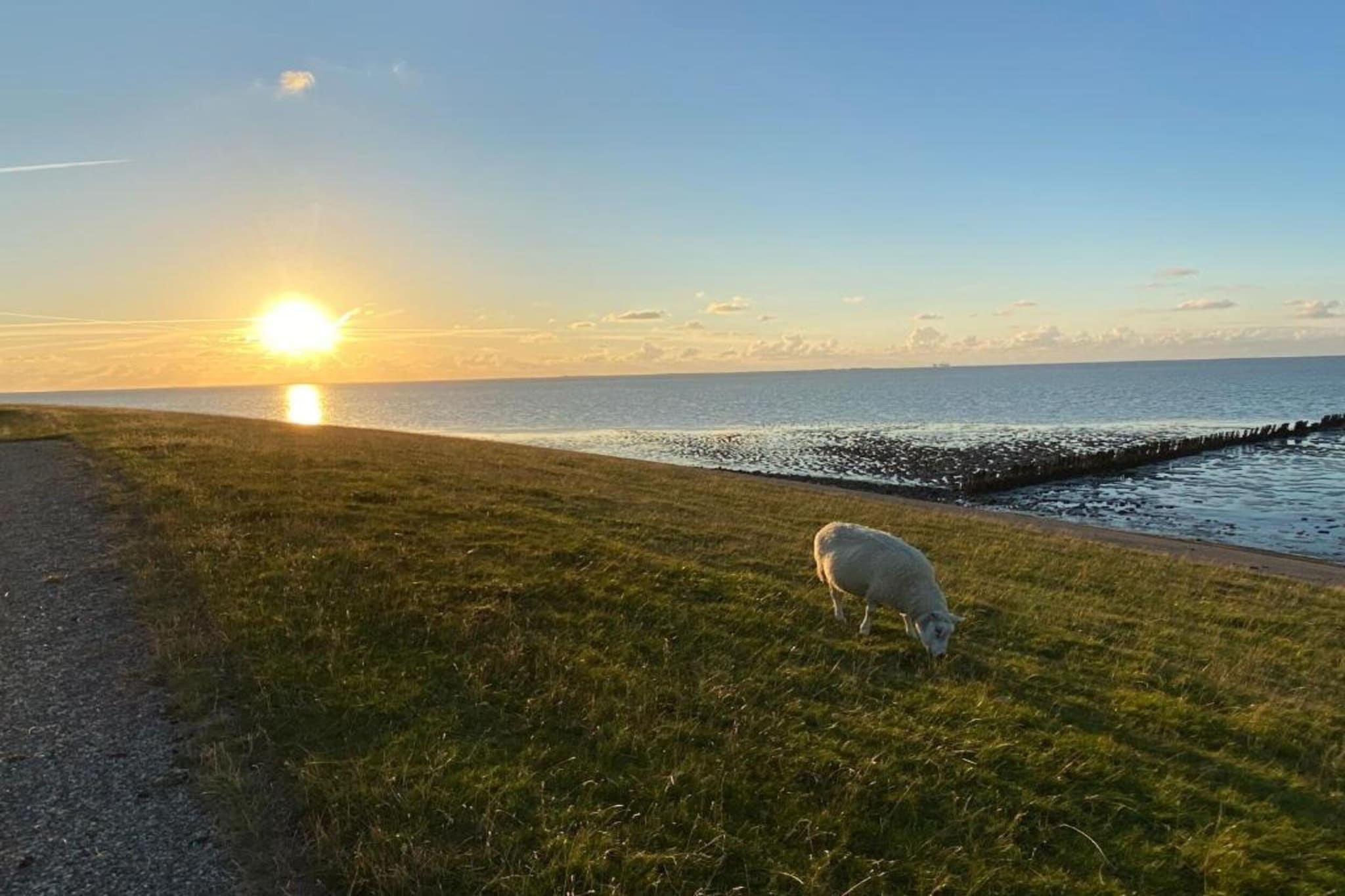 Landhuis Wad Anders-Gebieden zomer 20km