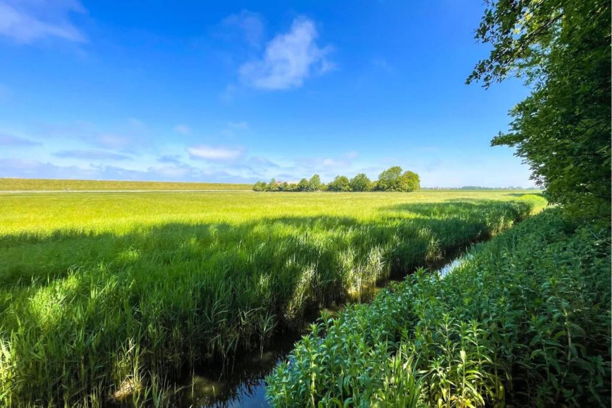 Landhuis Wad Anders-Gebieden zomer 20km