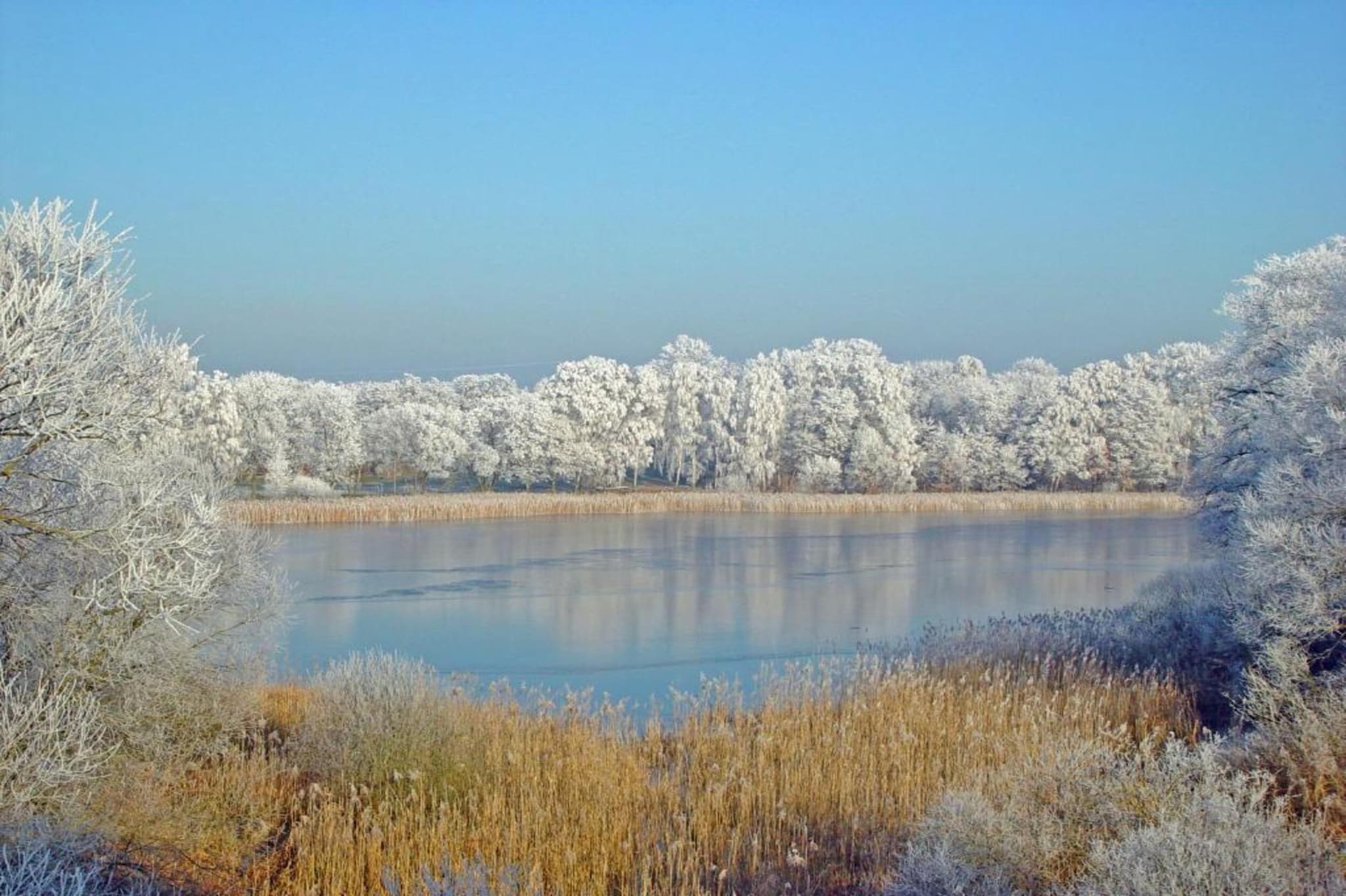 Ferienhaus Storchenblick-Gebied winter 20km