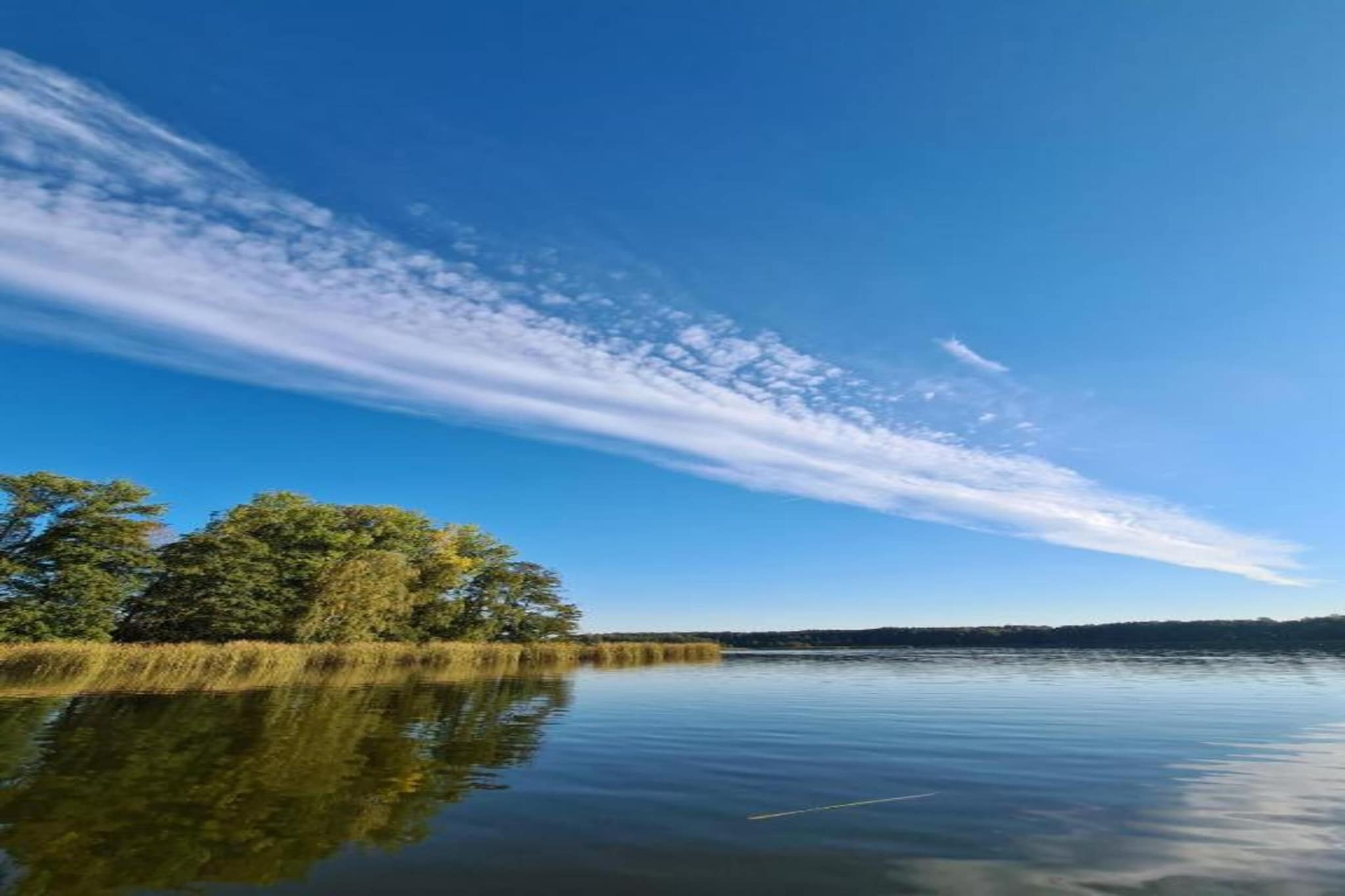 Ferienhaus Storchenblick-Gebieden zomer 20km