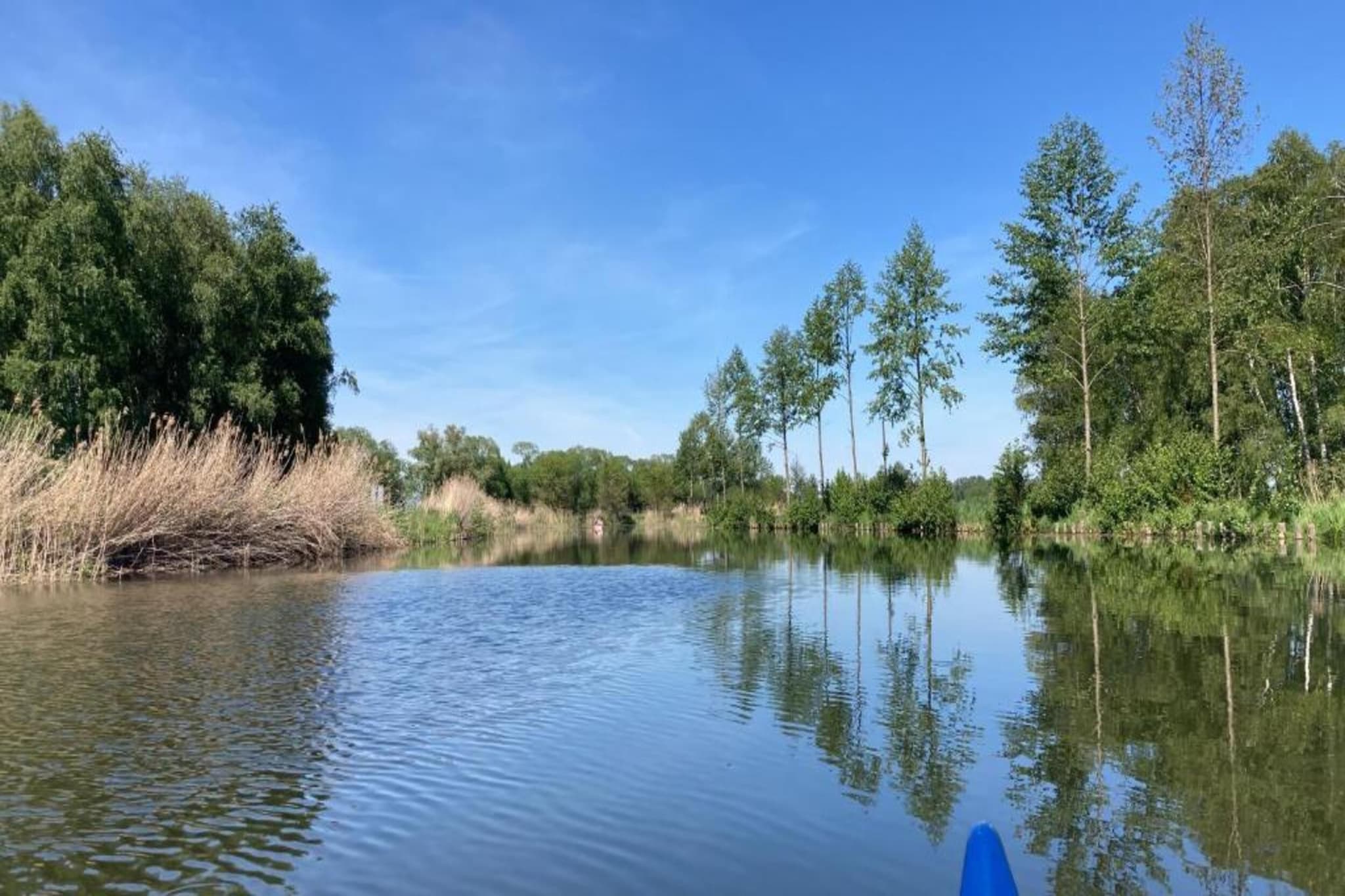 Ferienhaus Storchenblick-Gebieden zomer 20km