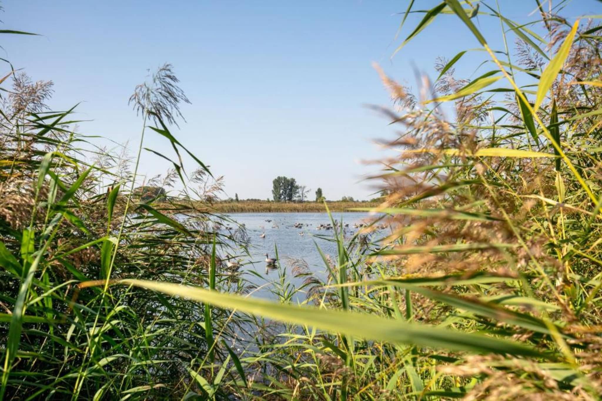 Ferienhaus Storchenblick-Gebieden zomer 20km