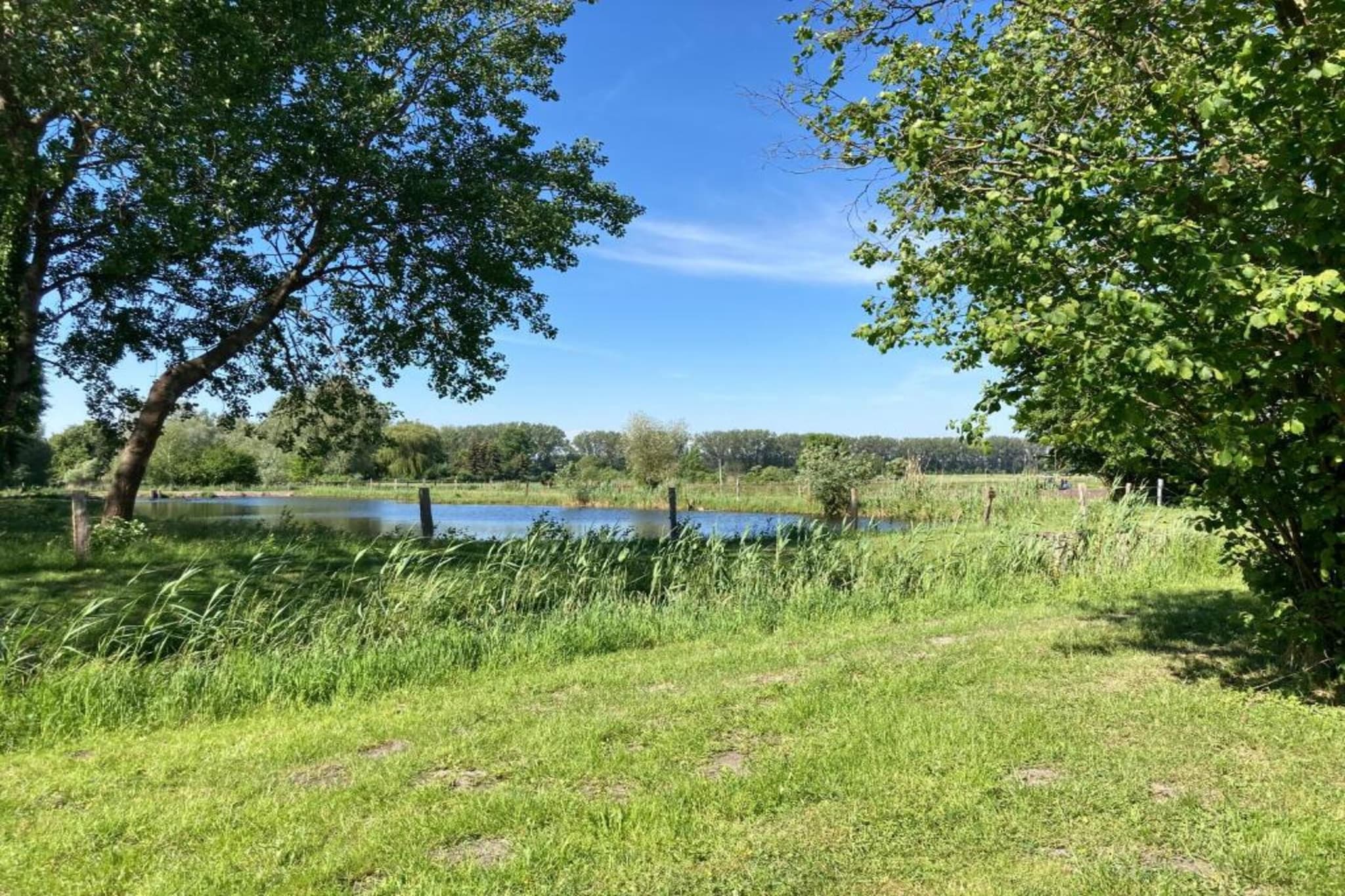 Ferienhaus Storchenblick-Gebieden zomer 20km