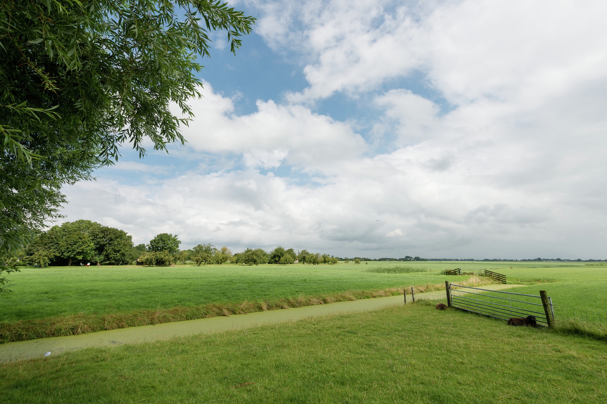 Lively Cottage near Lake in Schellinkhout