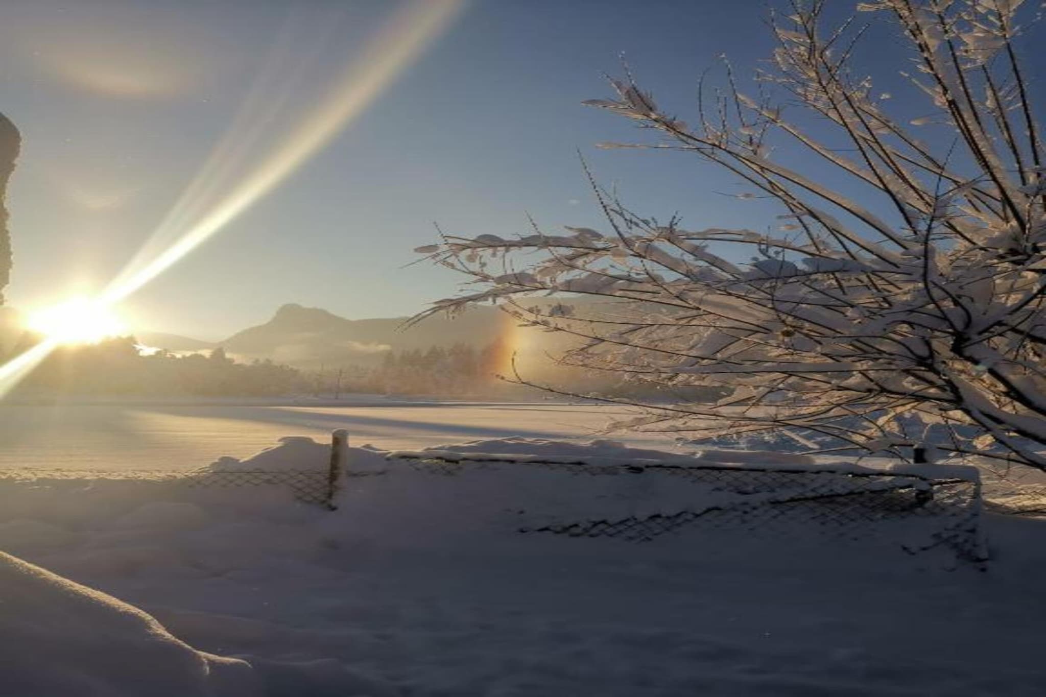 Sonnenblume-Gebied winter 20km
