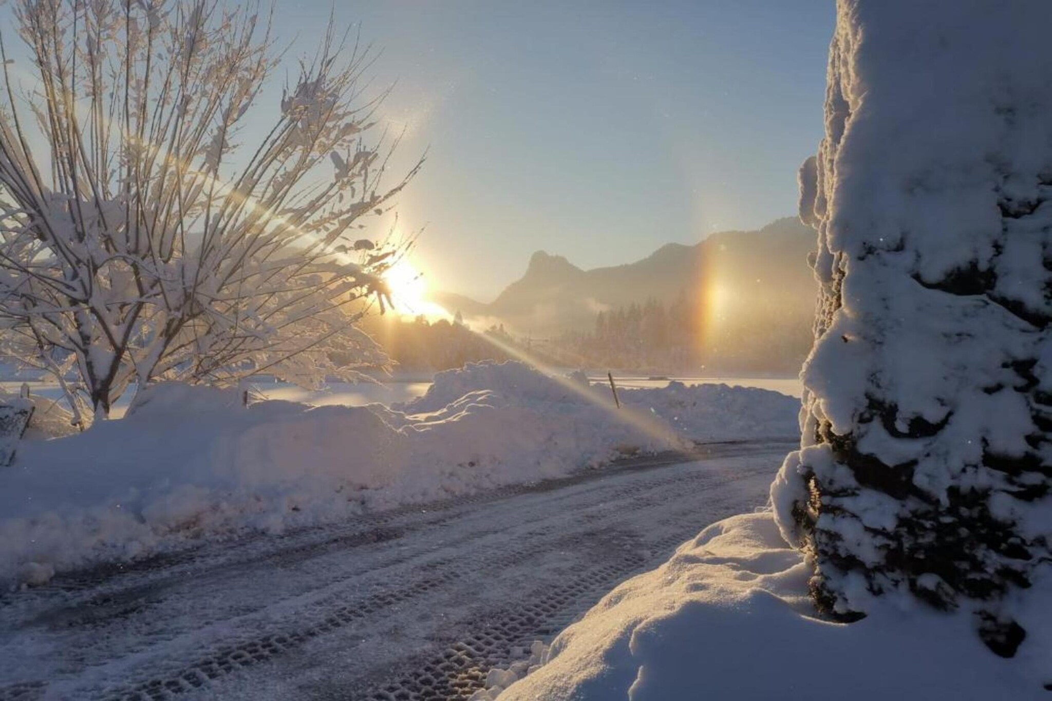 Sonnenblume-Gebied winter 20km
