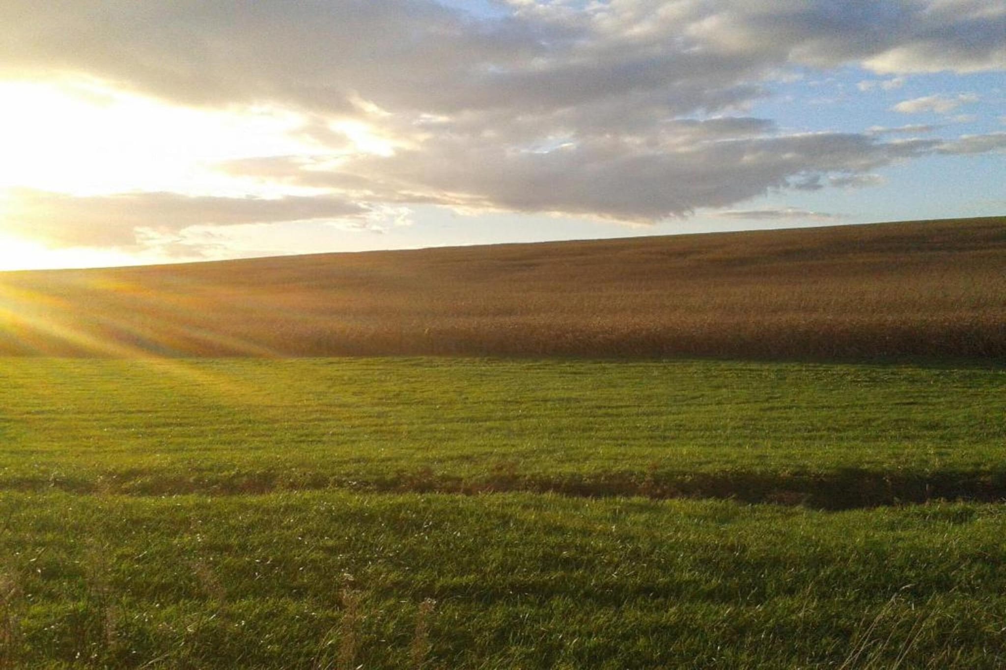 Ferme Remy-Gebiete Sommer 20 km