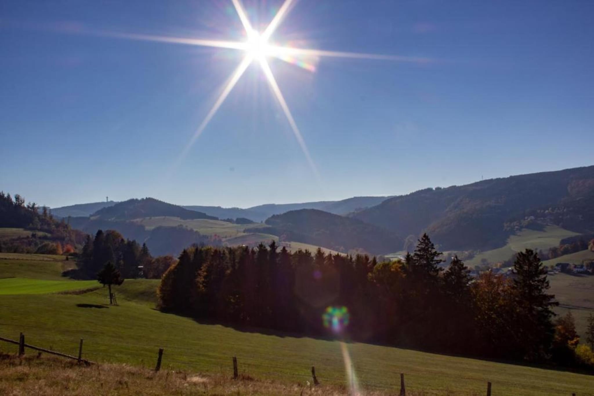 Appartement Willingen-Gebieden zomer 5km