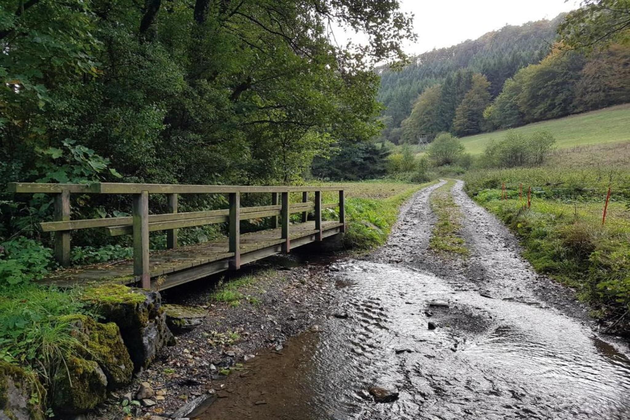 Appartement Willingen-Gebieden zomer 5km