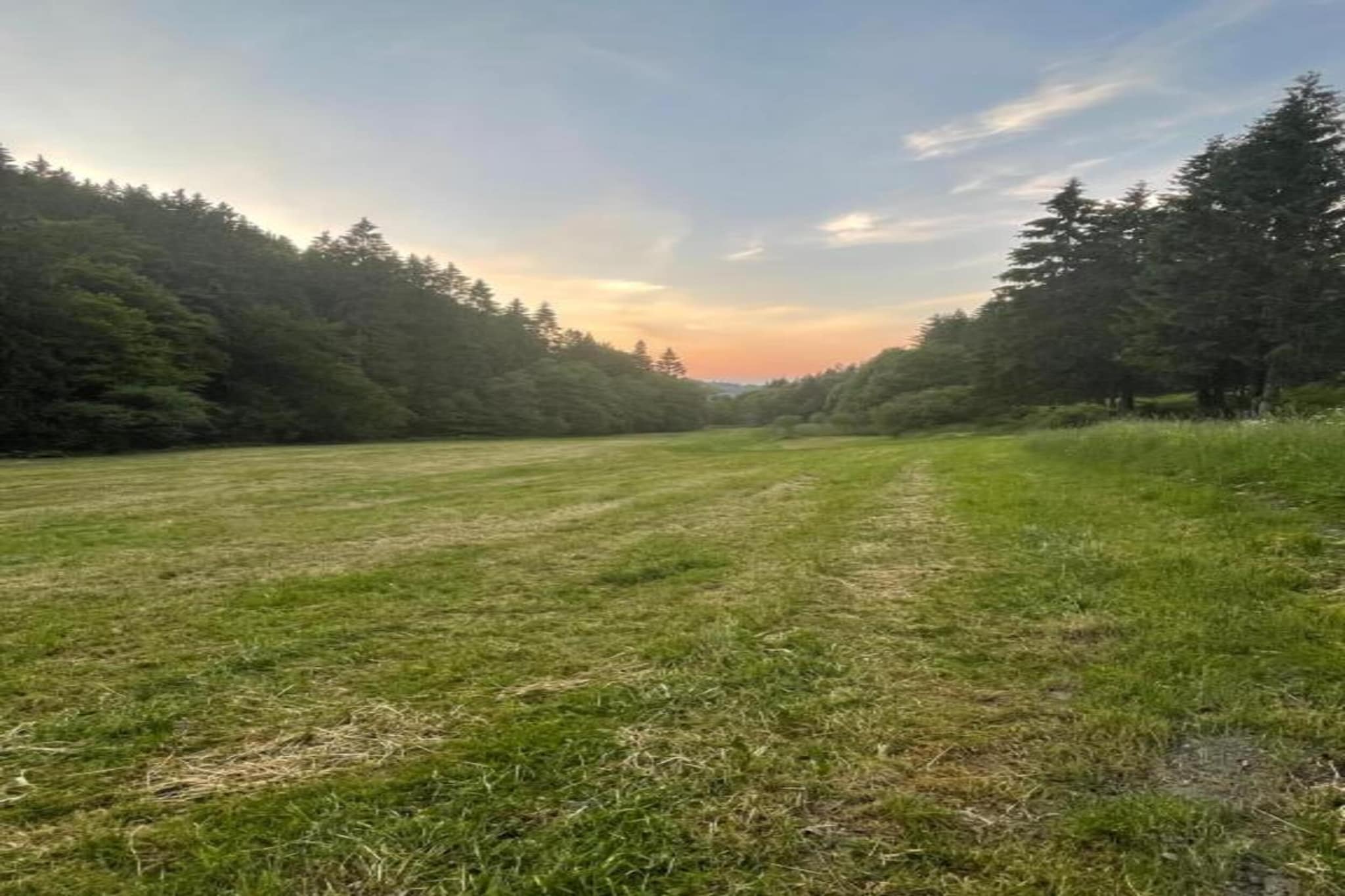 Appartement Willingen-Gebieden zomer 5km