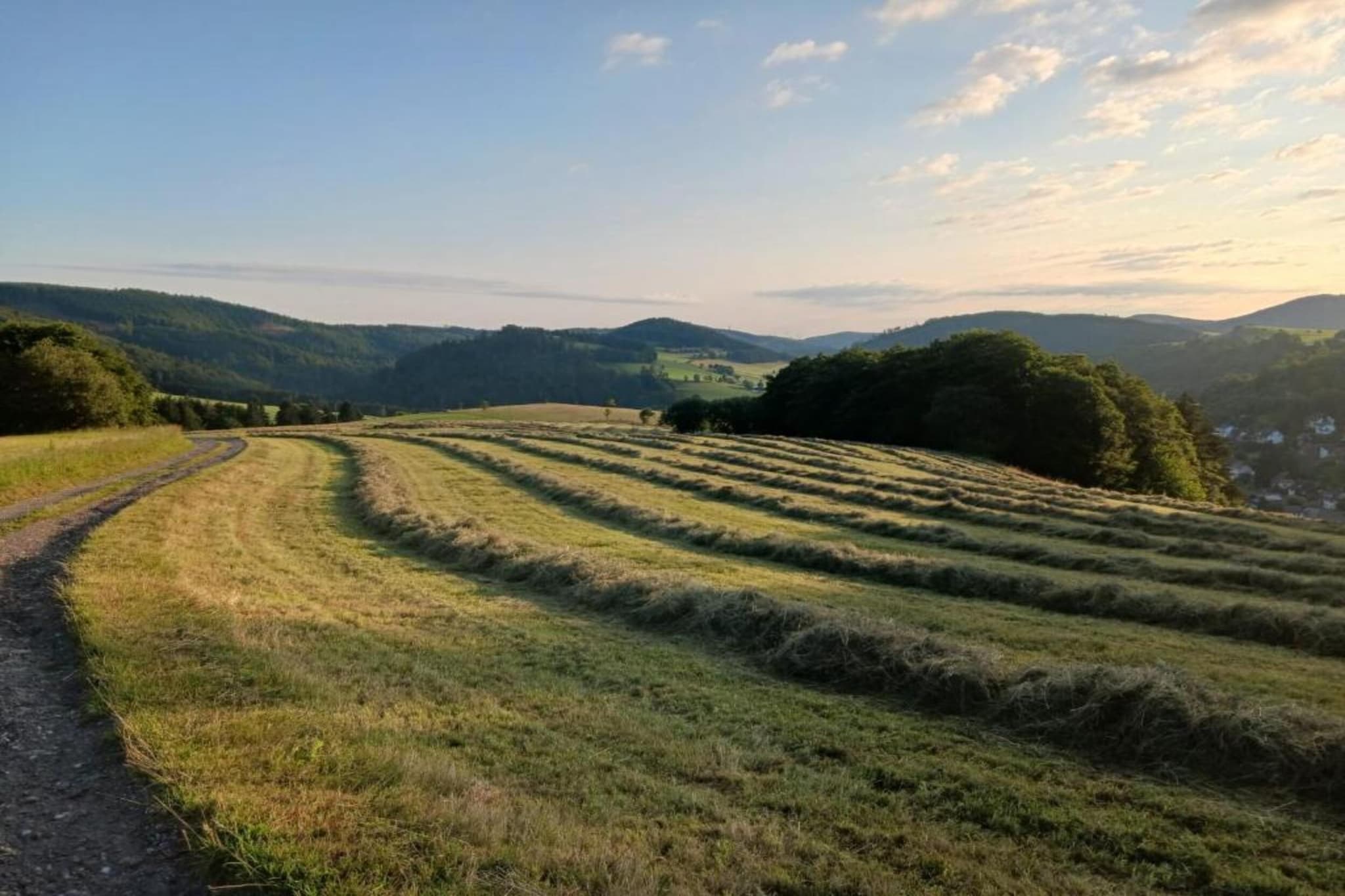 Appartement Willingen-Gebieden zomer 5km