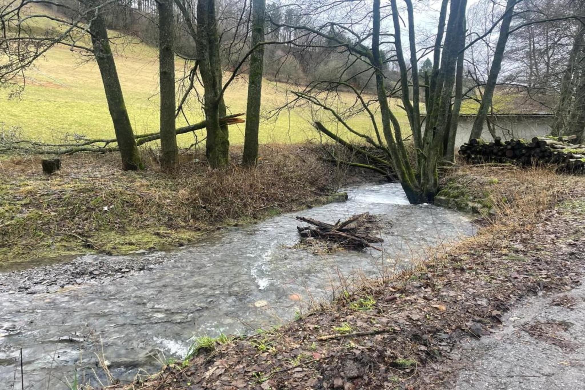 Appartement Willingen-Gebieden zomer 5km
