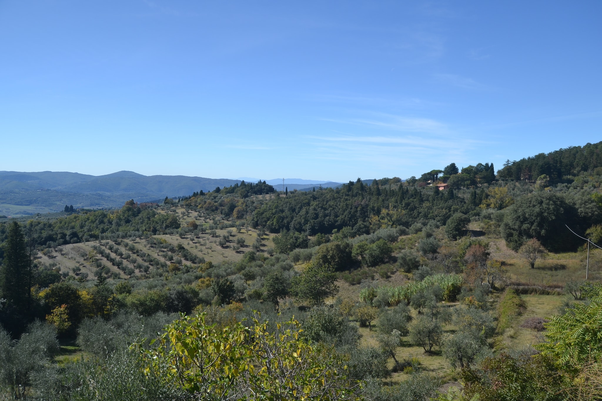 View Summer
